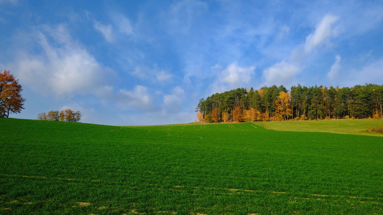 Fujifilm XC 15-45mm F3.5-5.6 OIS PZ sample photo. Nature, landscape, autumn photography