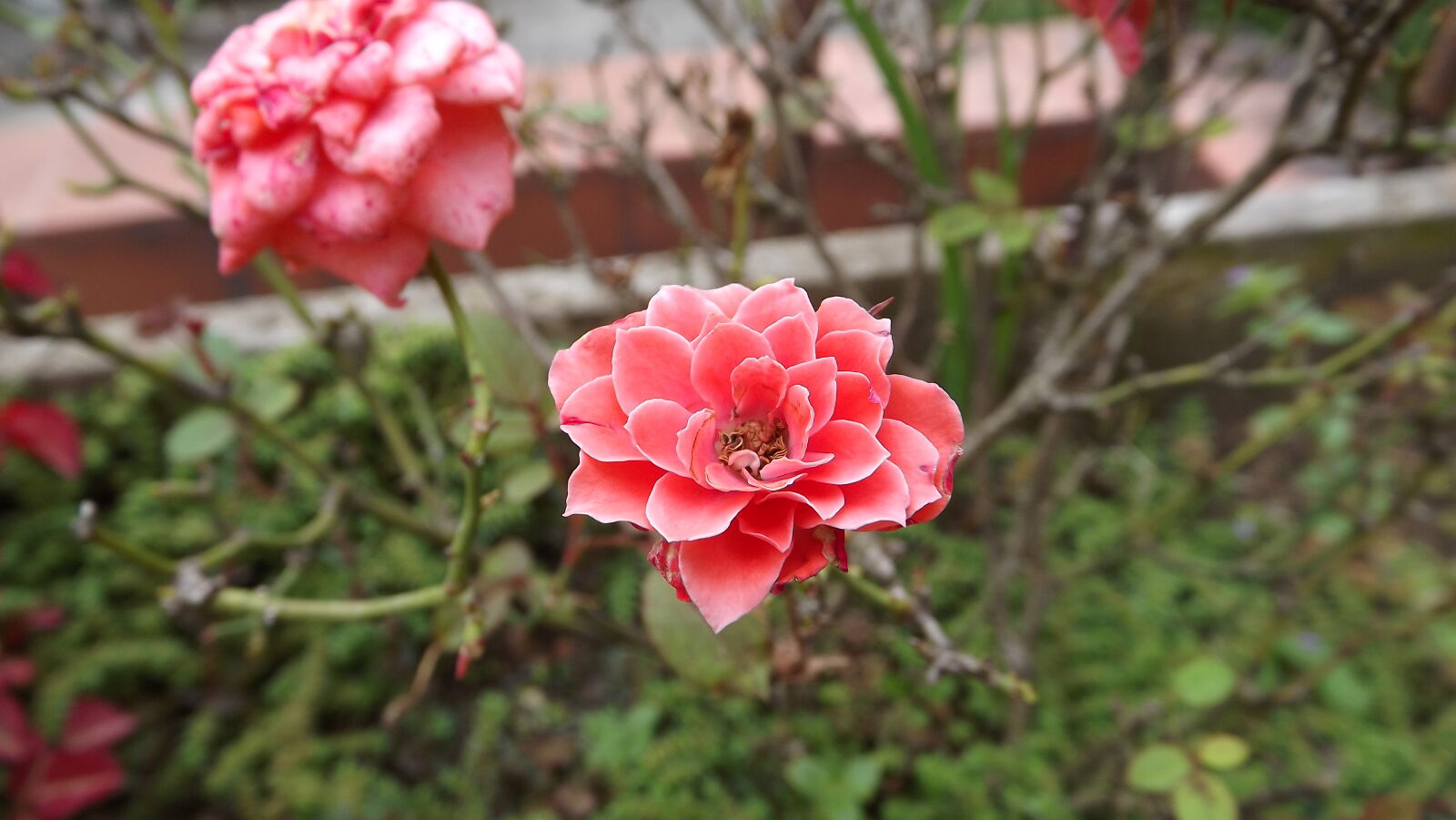 FujiFilm FinePix S4000 (FinePix S4050) sample photo