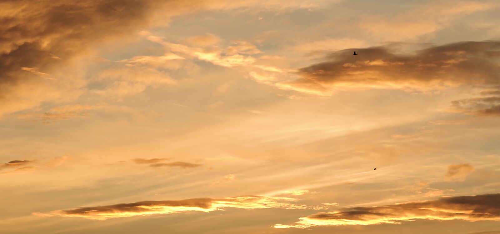 Pentax K-S2 sample photo. Sunset, no one, nature photography