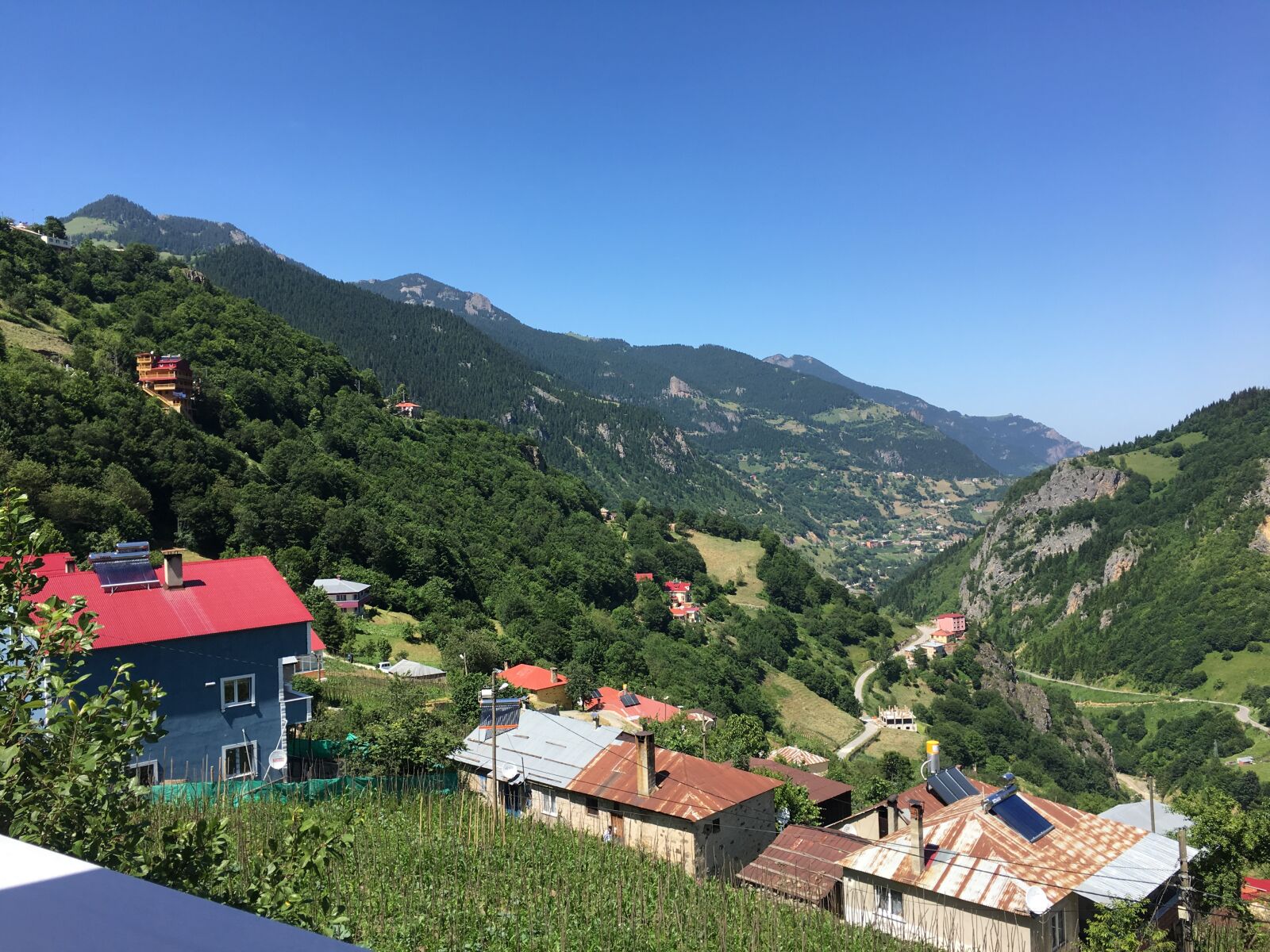 iPhone 6s Plus back camera 4.15mm f/2.2 sample photo. Karadeniz, hamsik y, ma photography