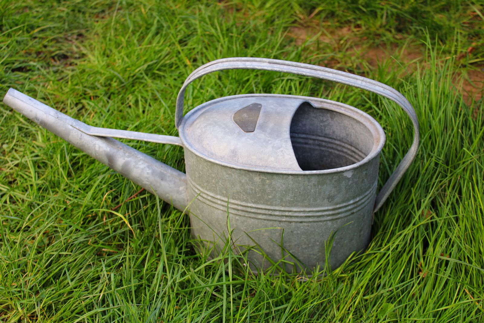 Canon EOS 2000D (EOS Rebel T7 / EOS Kiss X90 / EOS 1500D) sample photo. Watering can, pot, garden photography