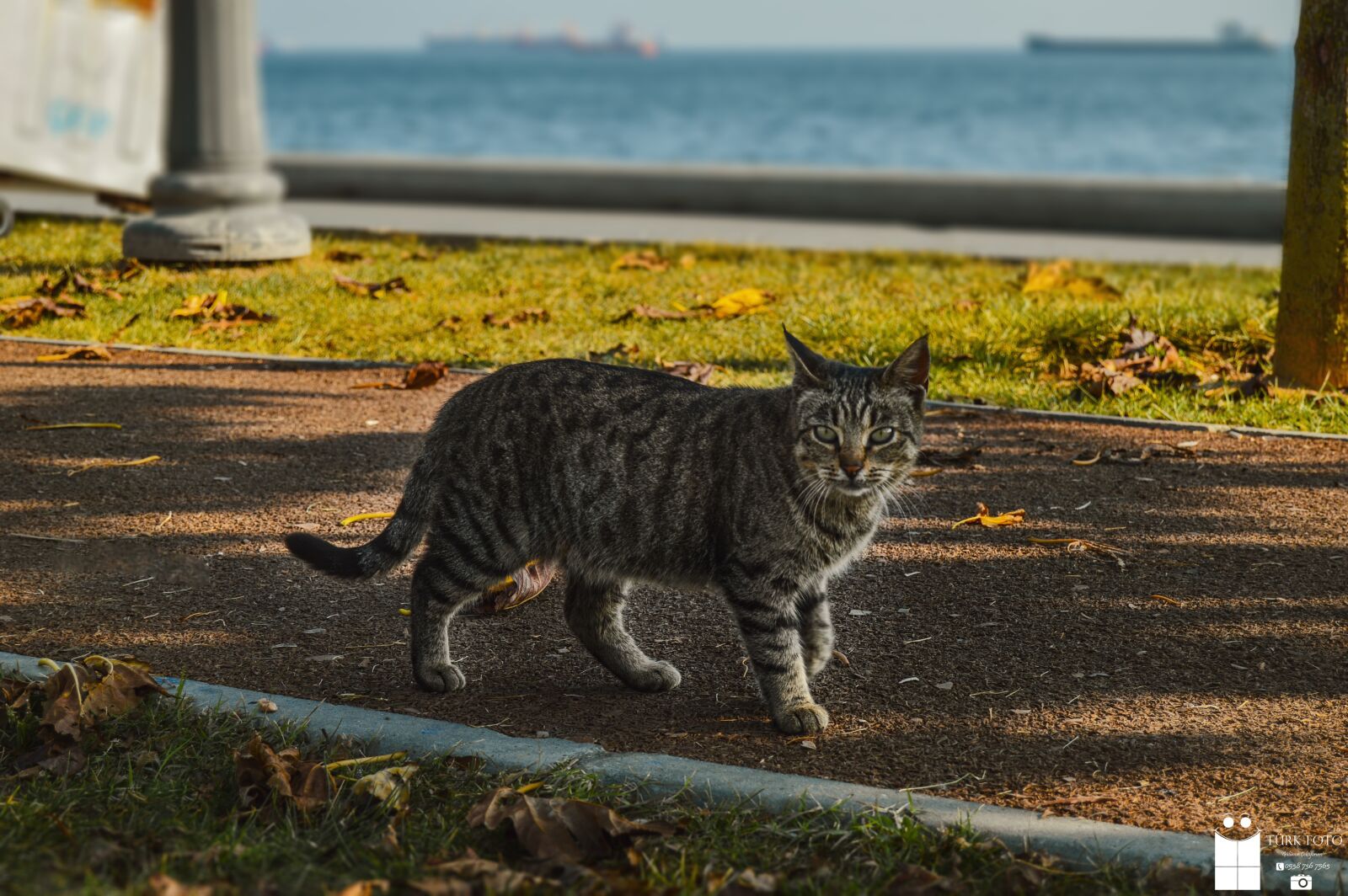 Nikon D3200 sample photo. Istanbul, gemi, kızkulesi photography