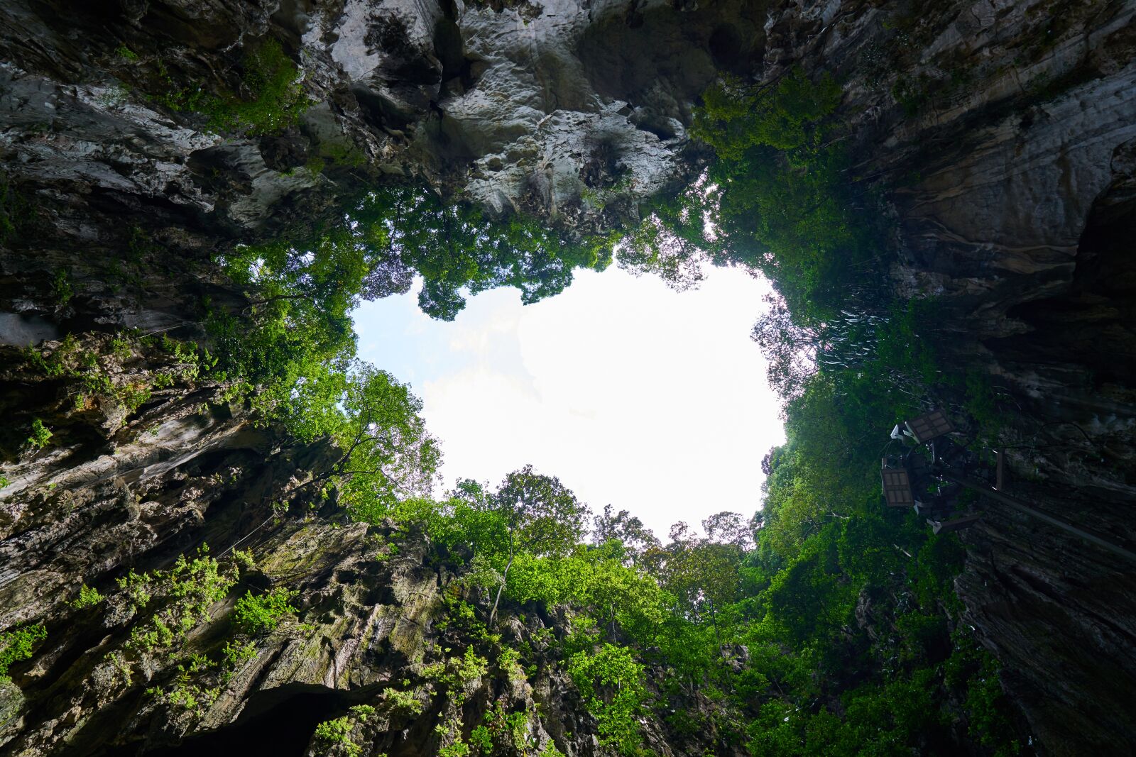 Sony a7R II sample photo. Cave, nature, tree photography