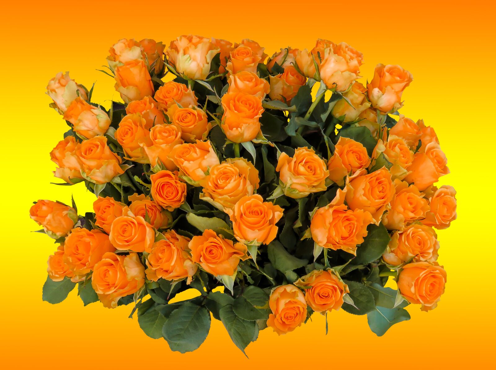 Canon PowerShot SX710 HS sample photo. Bouquet, birthday bouquet, flowers photography