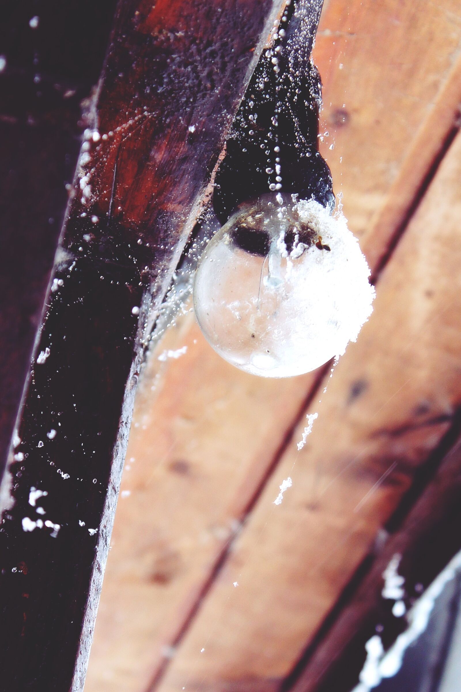 Canon EOS 1200D (EOS Rebel T5 / EOS Kiss X70 / EOS Hi) sample photo. Light bulb, hut, log photography