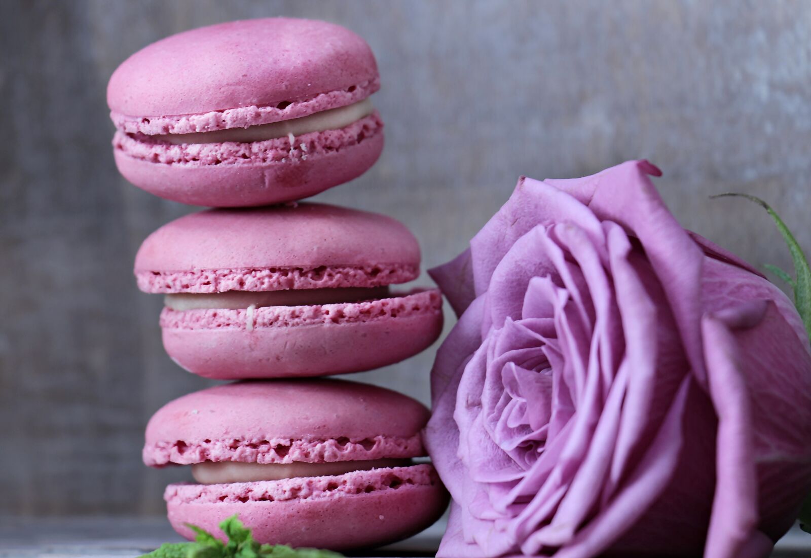 Canon EOS 100D (EOS Rebel SL1 / EOS Kiss X7) sample photo. Macarons, rose, floribunda photography