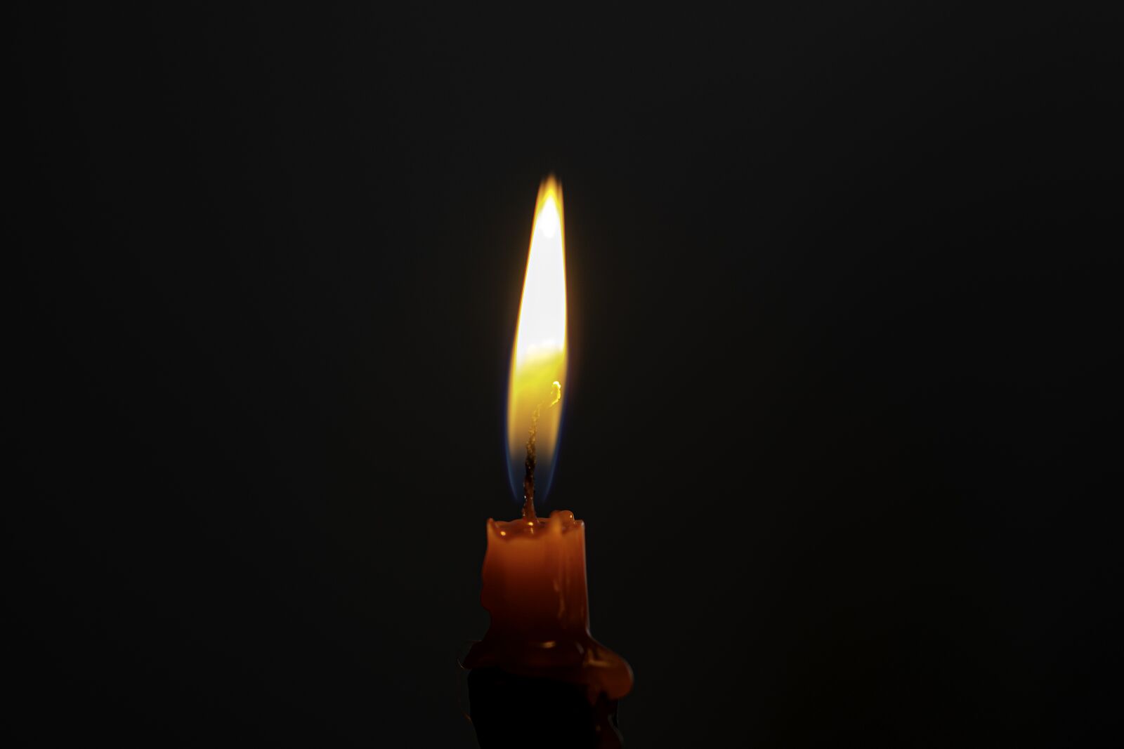 Nikon D5600 sample photo. Candlelight, light, burn photography