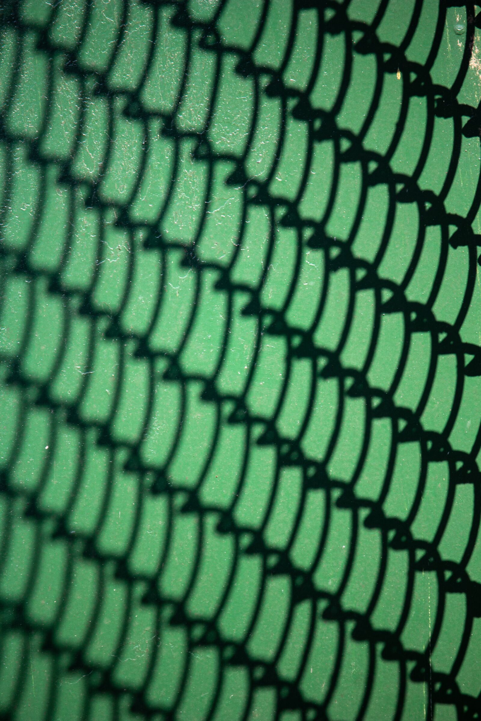 Canon EOS 100D (EOS Rebel SL1 / EOS Kiss X7) sample photo. Green, fence, shadow photography