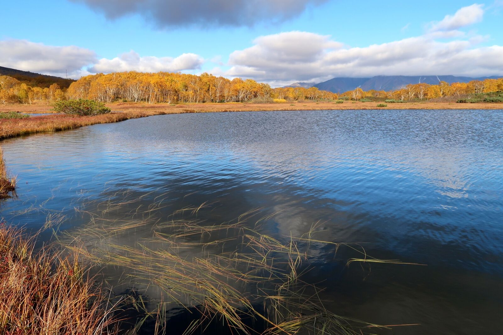 Canon PowerShot G7 X Mark II sample photo. Autumn, lake, forest photography