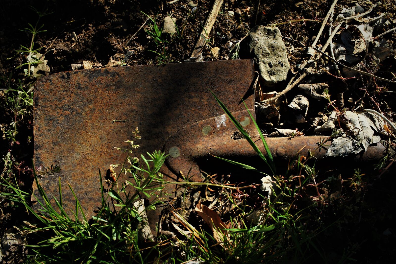 Canon EF-S 35mm F2.8 Macro IS STM sample photo. Spade, shovel, blade photography