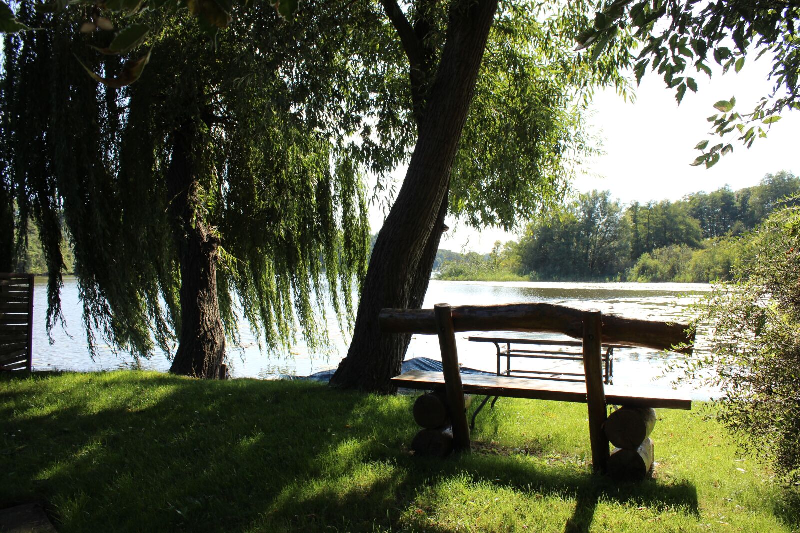 Canon EOS 600D (Rebel EOS T3i / EOS Kiss X5) sample photo. Lake, bank, tree photography