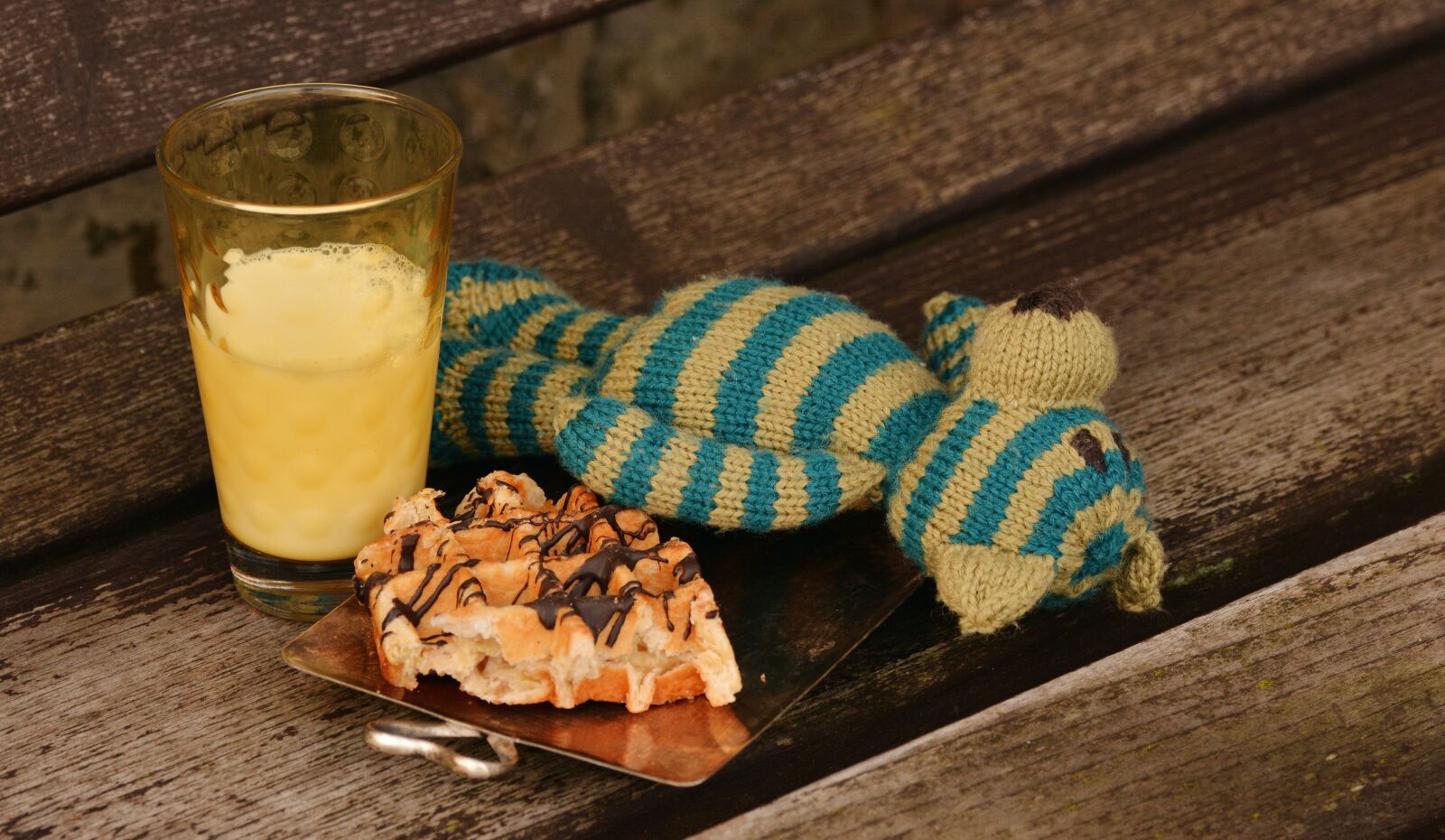 Nikon D5200 sample photo. Teddy bear, knitted, breakfast photography