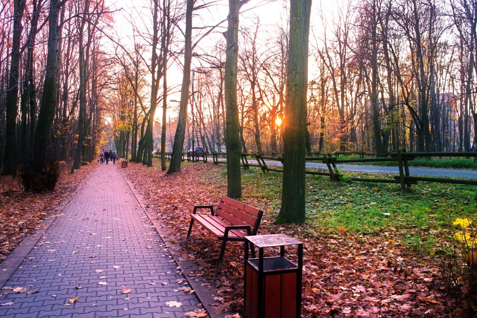 Nikon D3100 sample photo. Landscape, nature, forest photography