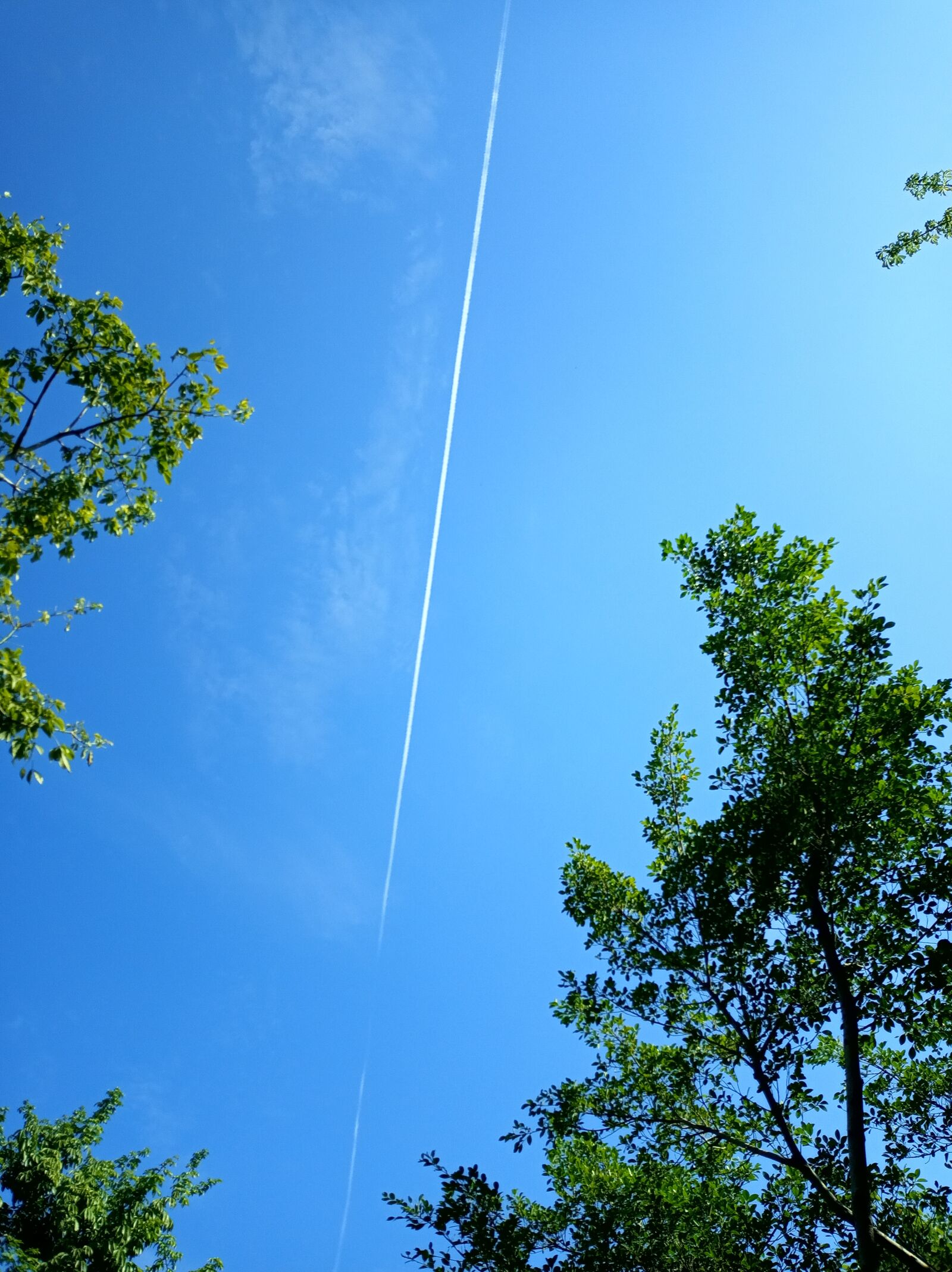 Xiaomi Redmi 6 sample photo. Airplane cloud, blue sky photography