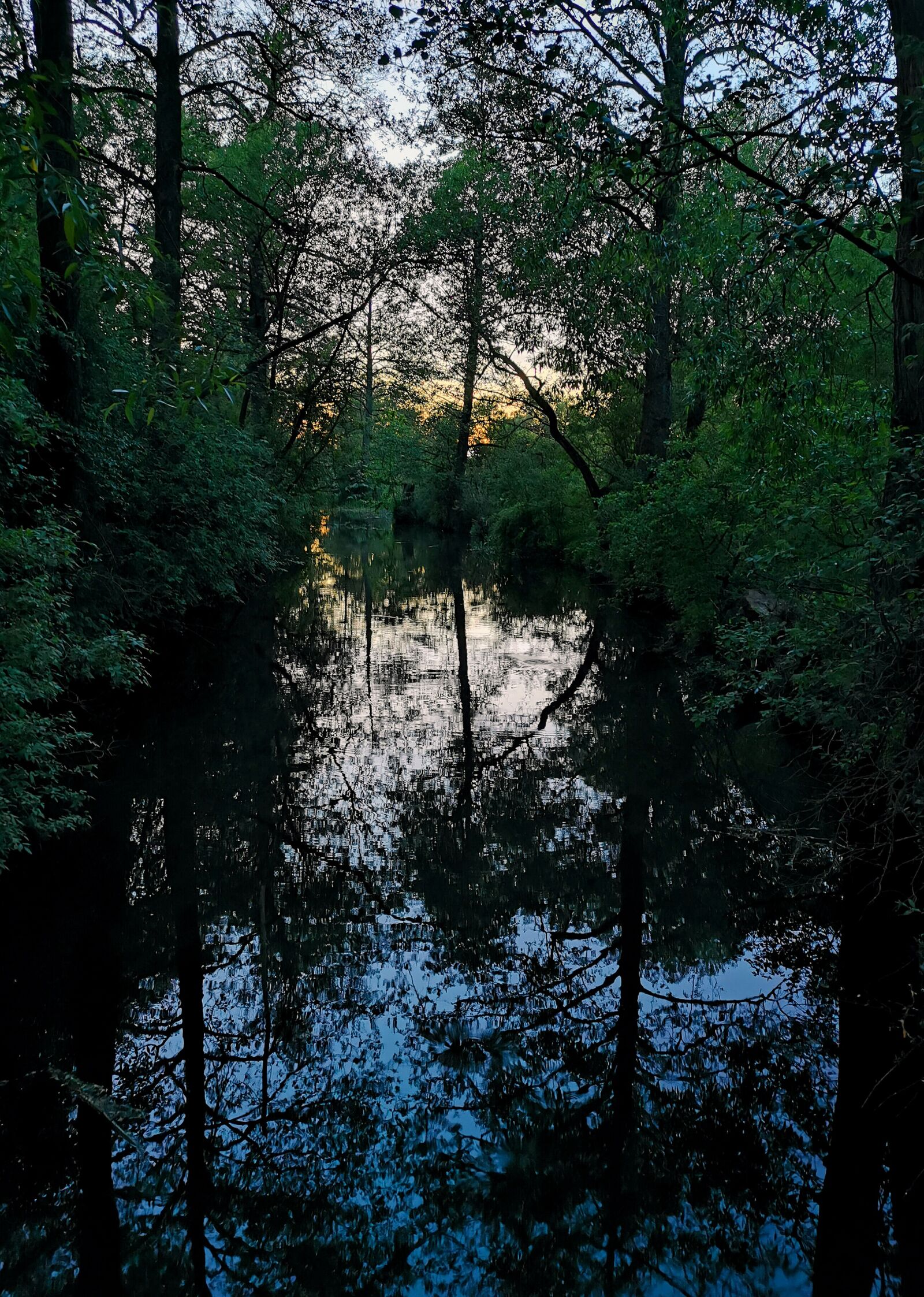 HUAWEI P30 sample photo. Water, trees, mirroring photography