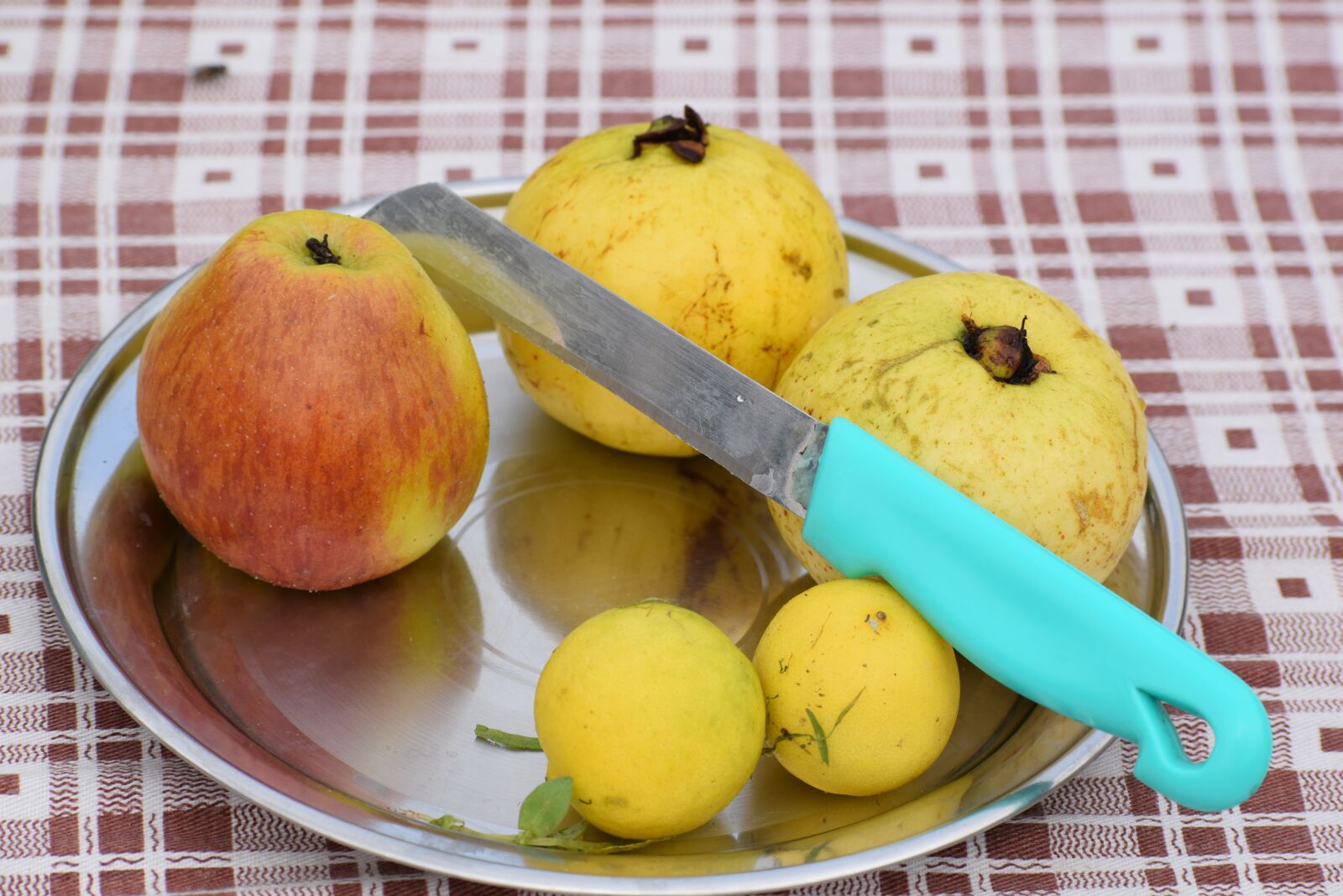 Nikon D3300 sample photo. Fruits, nature, healthy photography