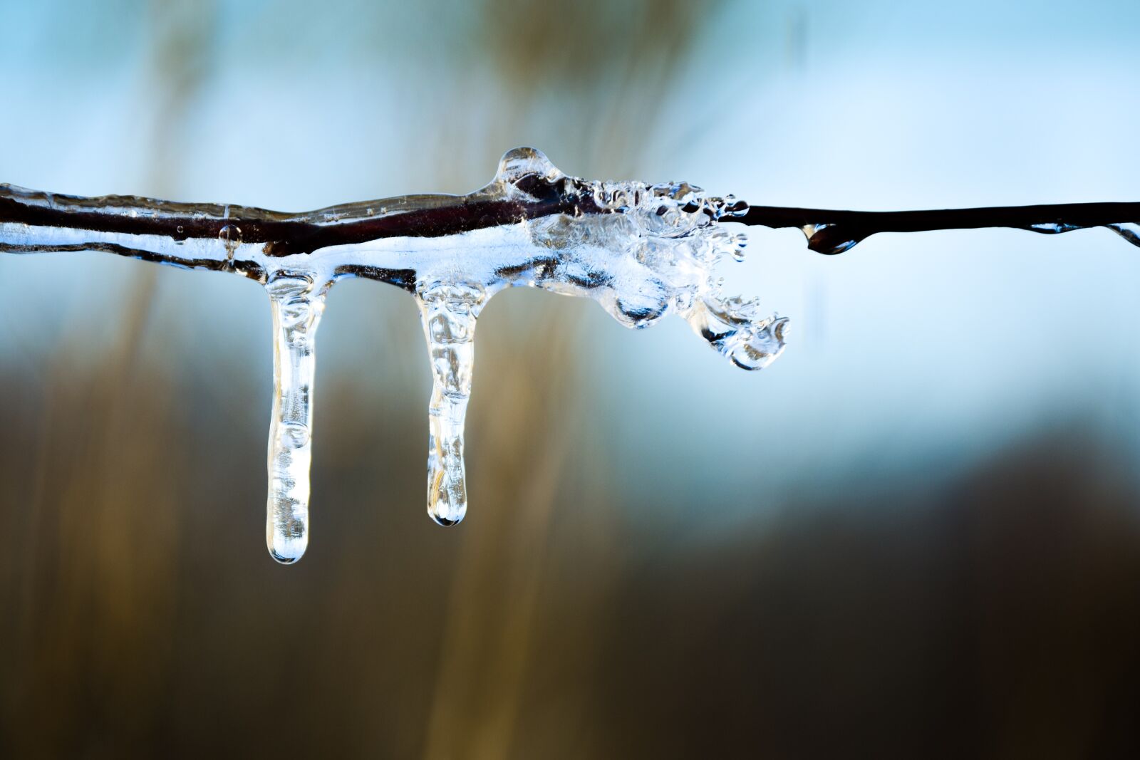 Nikon D3300 sample photo. Icicle, winter, ice photography