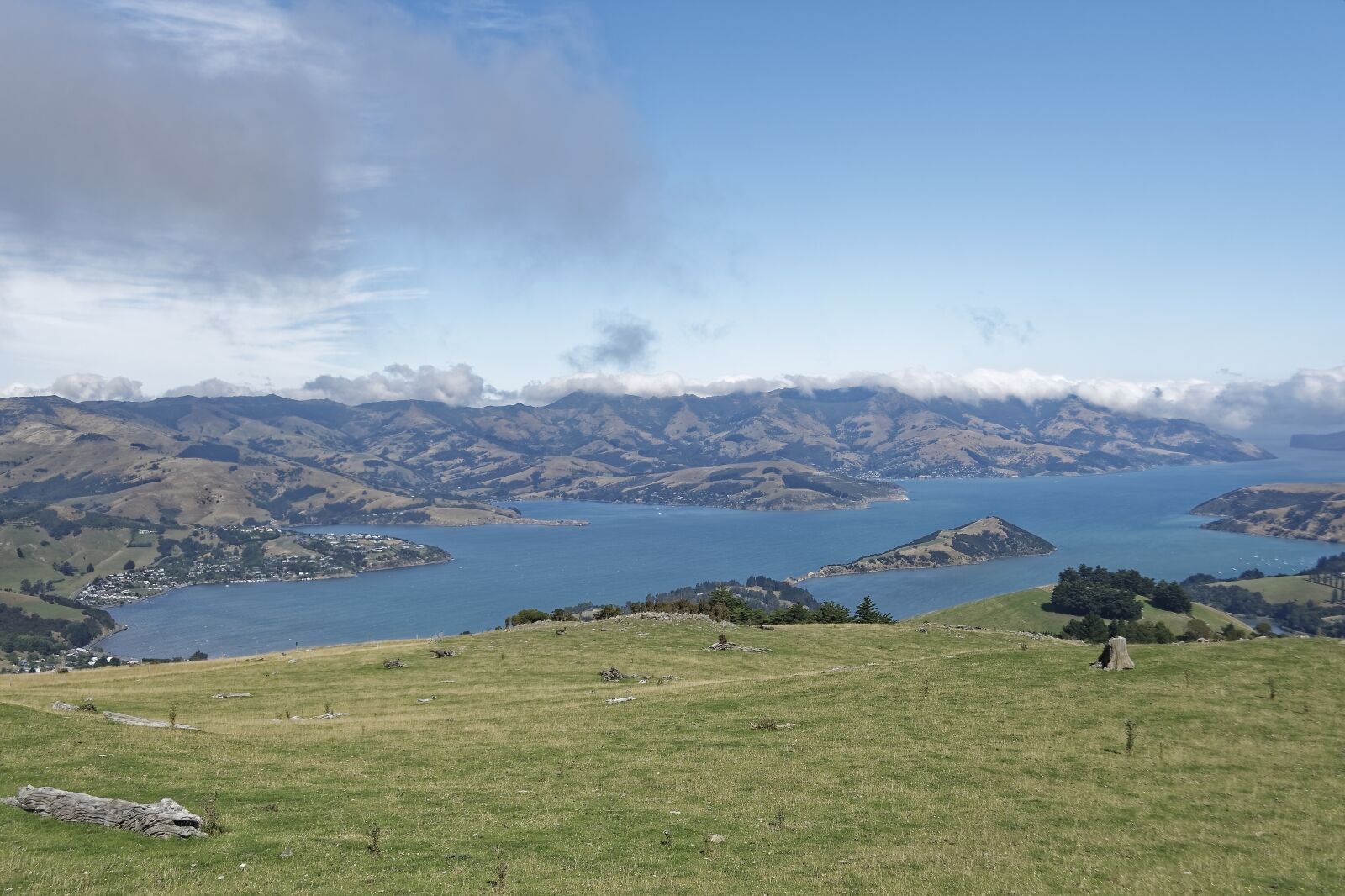 Nikon D500 sample photo. New zealand, banks peninsula photography