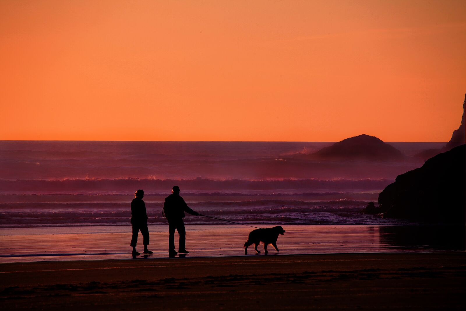 Canon EOS 5D Mark II sample photo. Grandparents, walking the dog photography