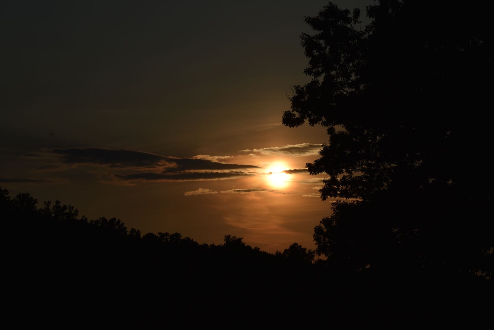 Nikon D5600 sample photo. Sunset, water, sky photography