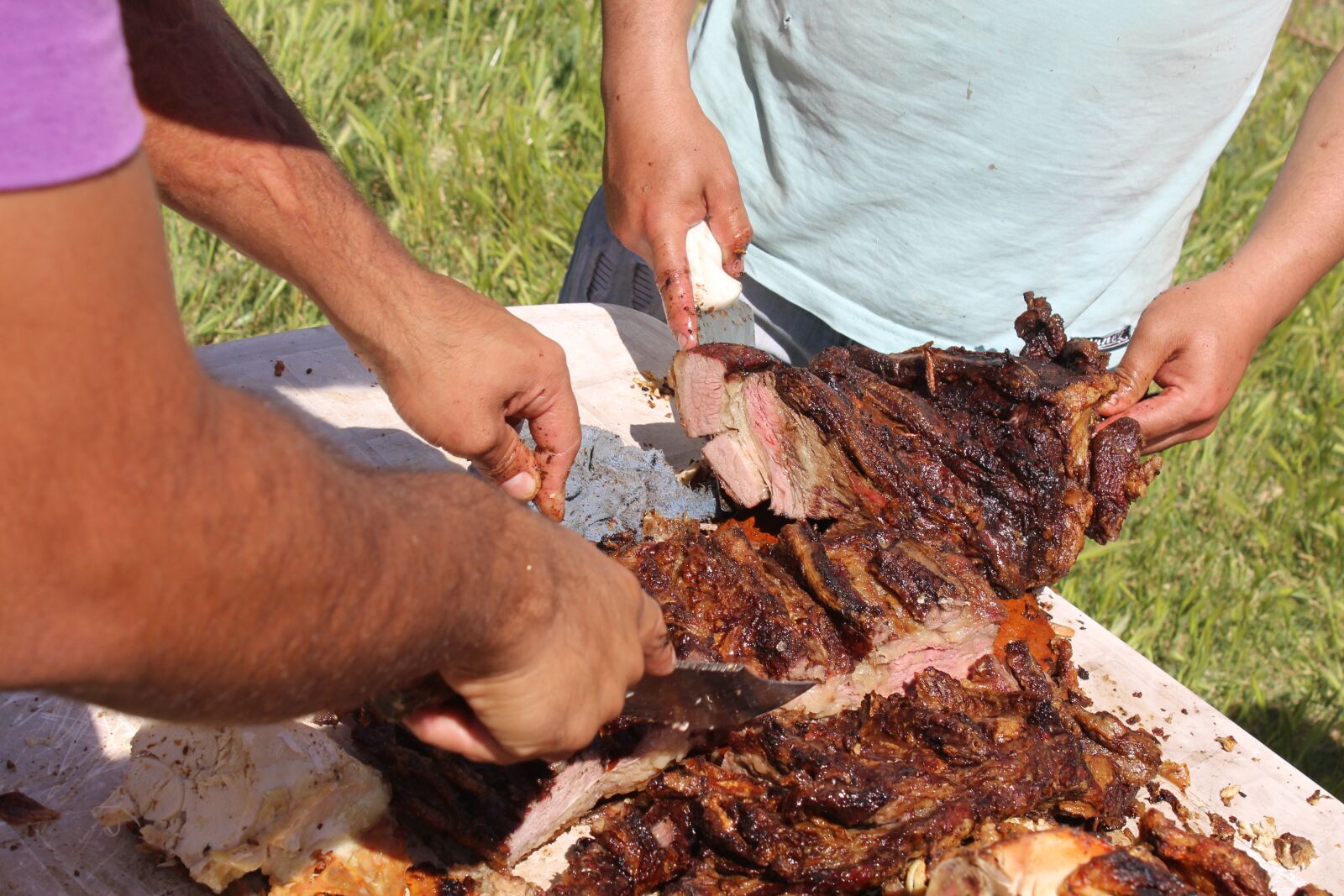 Canon EOS 1200D (EOS Rebel T5 / EOS Kiss X70 / EOS Hi) sample photo. Roast, meat, cutting meat photography