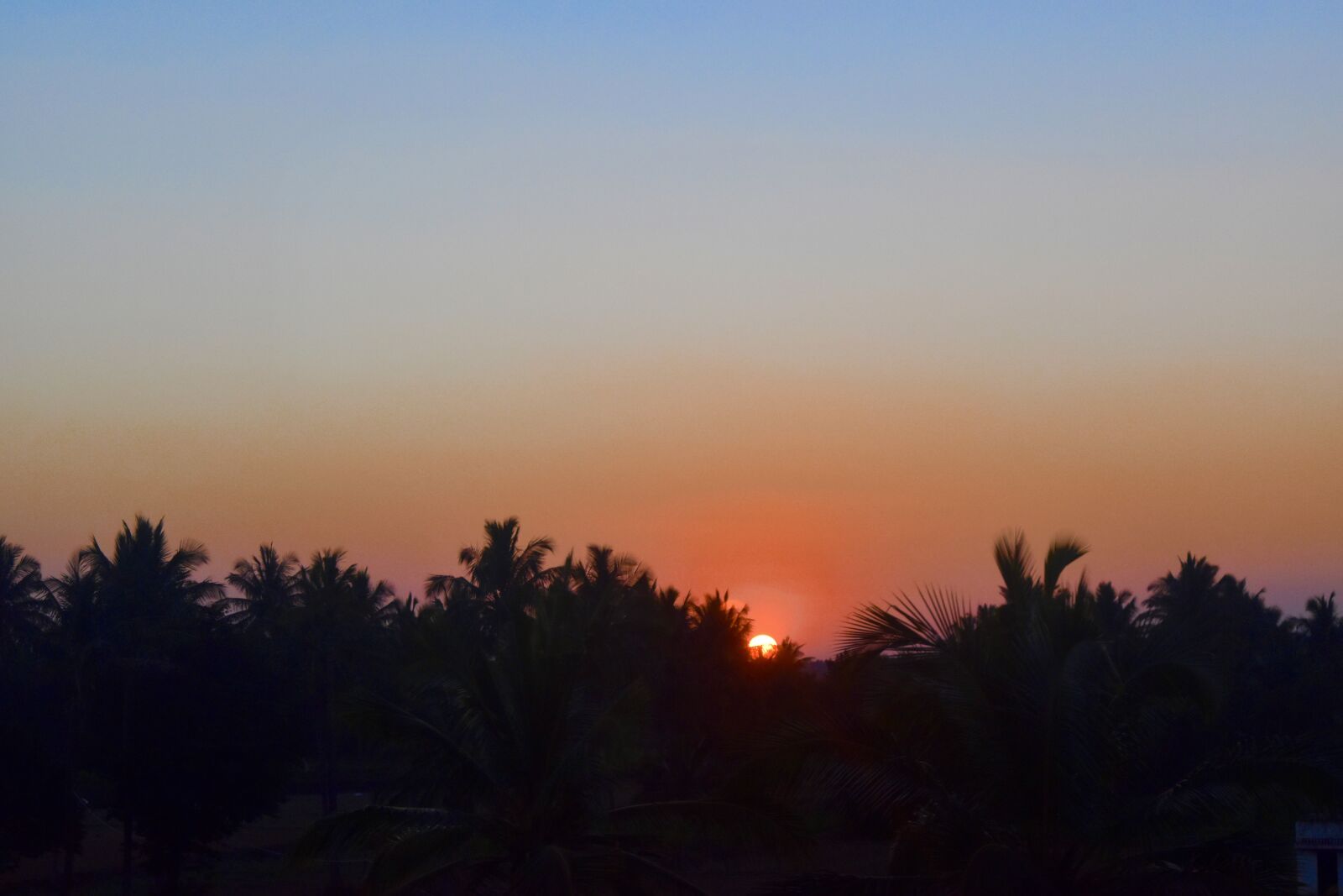 Nikon D5500 sample photo. Sunset, vacation, beach photography