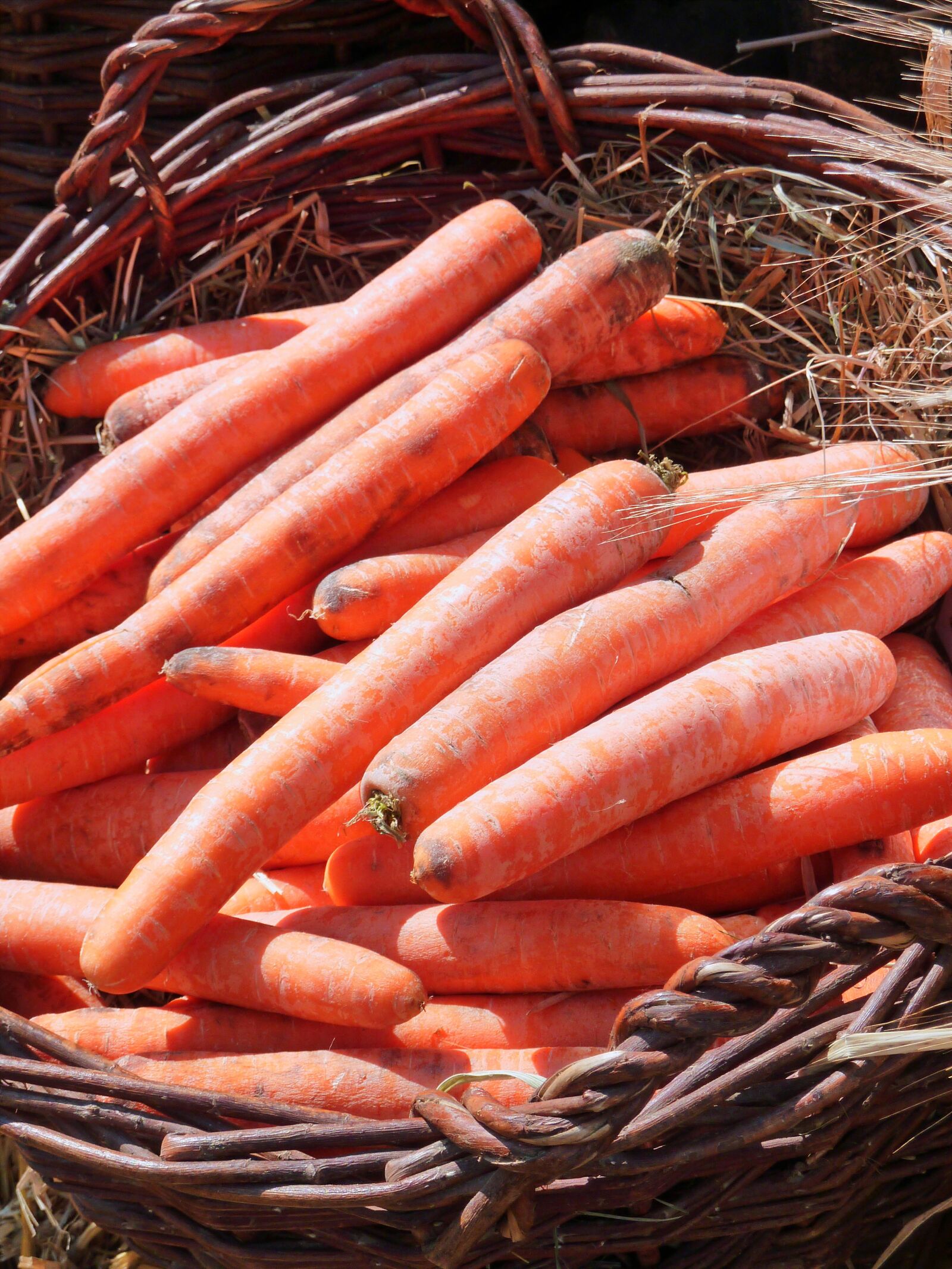 Panasonic DMC-TZ7 sample photo. Vegetables, market, fruit photography