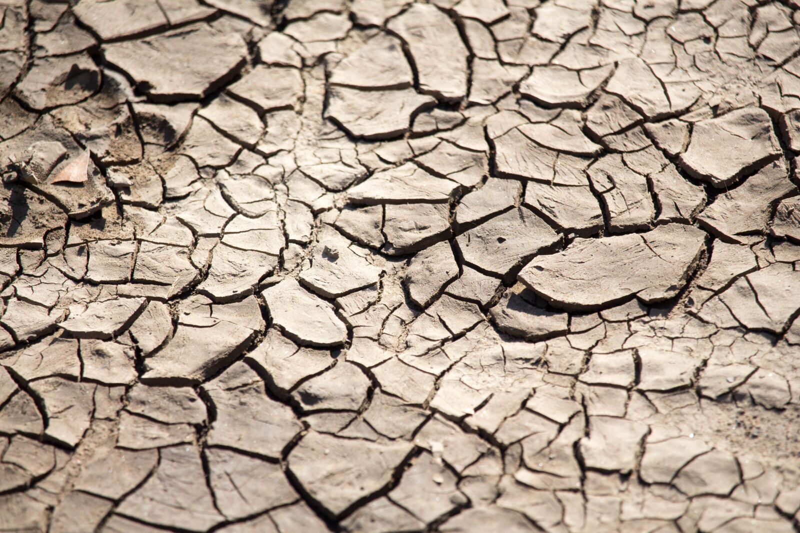 Canon EOS 700D (EOS Rebel T5i / EOS Kiss X7i) sample photo. Drought, climate, arid photography