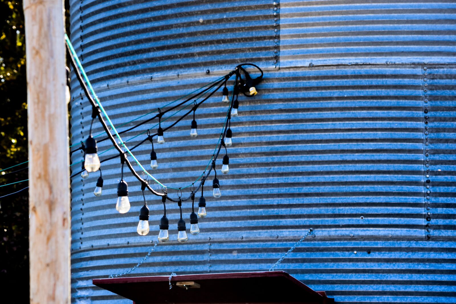 Nikon D7200 sample photo. Light, lights, string lights photography