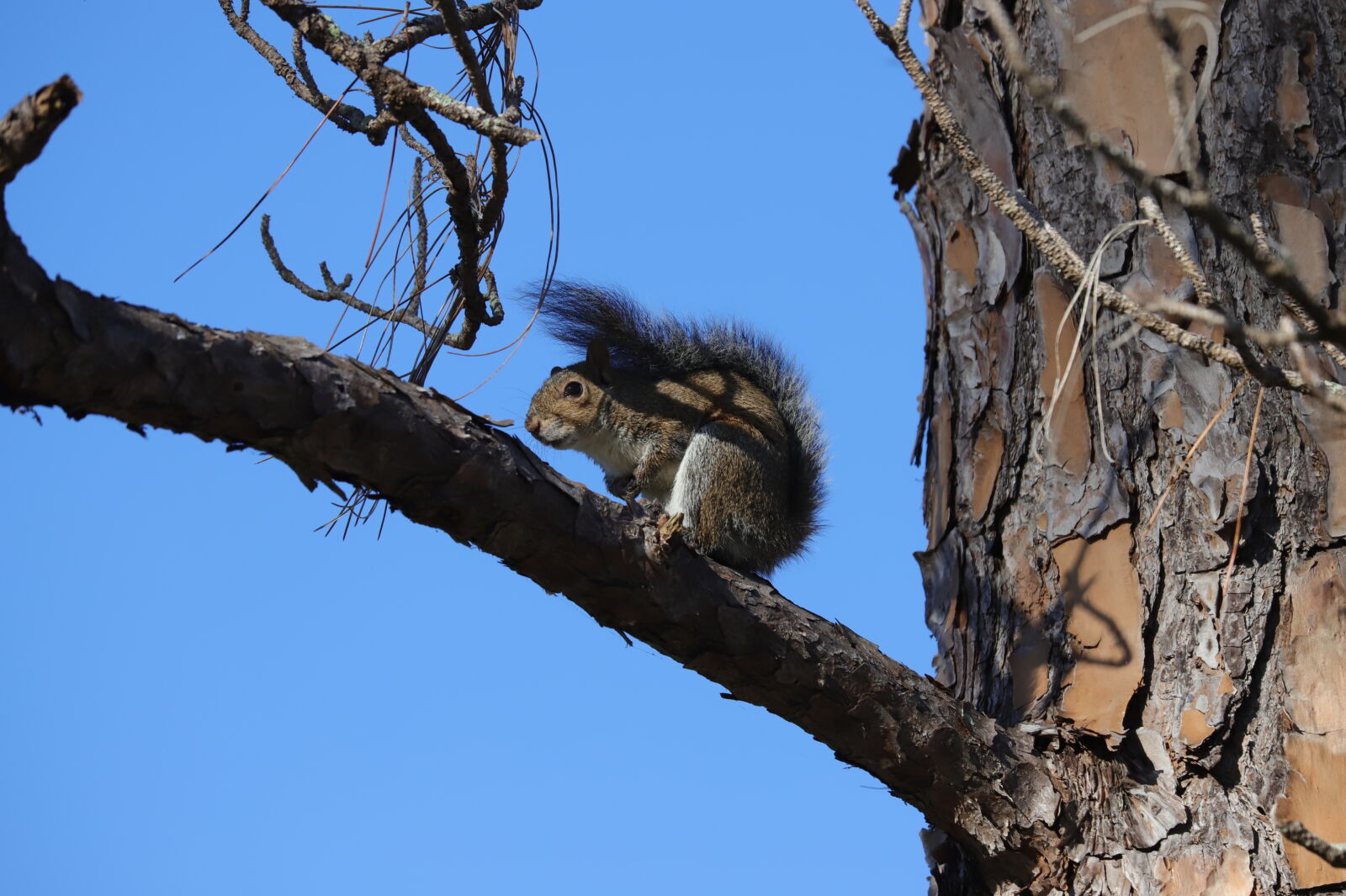 Canon EOS 6D Mark II sample photo