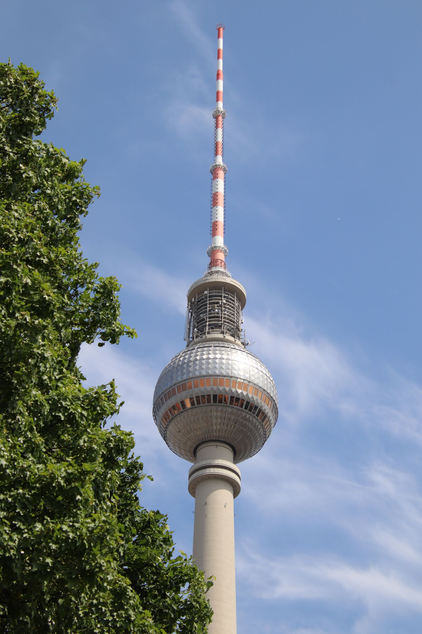 Canon EOS 800D (EOS Rebel T7i / EOS Kiss X9i) sample photo. Tv tower, leaves, tree photography