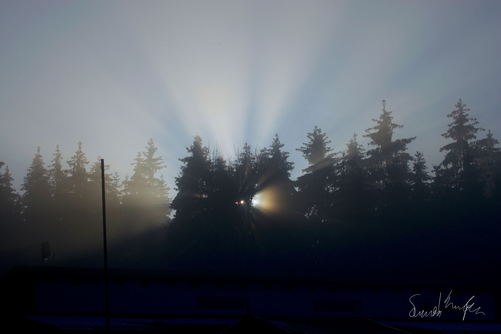 Nikon D3300 sample photo. Morning, sun photography