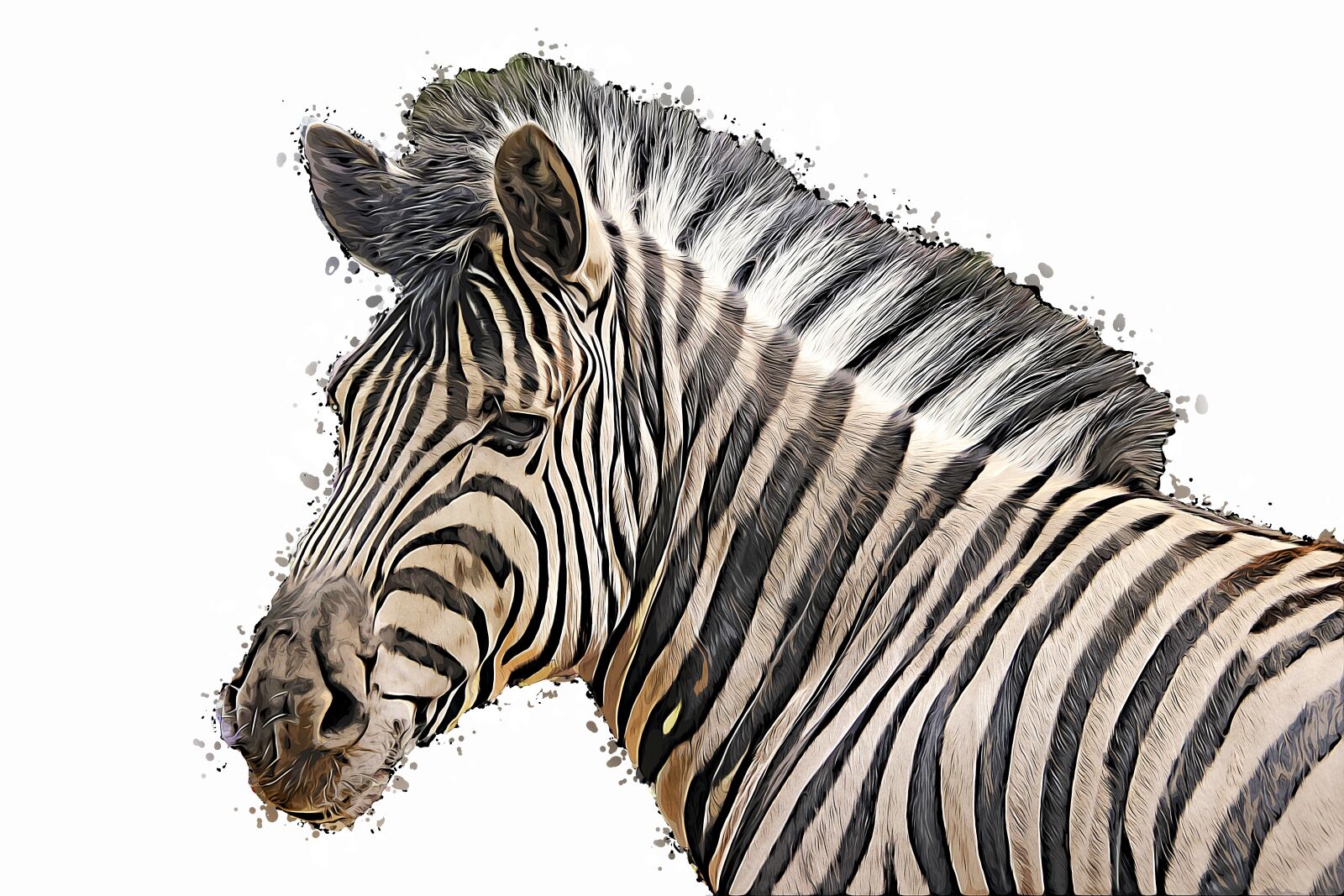 Canon EOS 700D (EOS Rebel T5i / EOS Kiss X7i) sample photo. Zebra, animal, wilderness photography