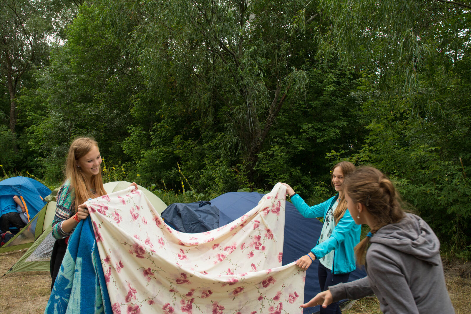 Nikon D7100 sample photo. Camp, dip, forest, pine photography