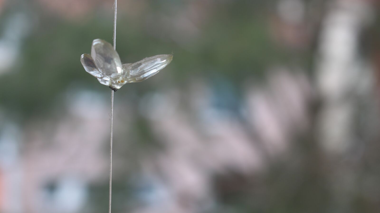 Canon EOS 700D (EOS Rebel T5i / EOS Kiss X7i) sample photo. Bokeh, butterfly, windspiel photography