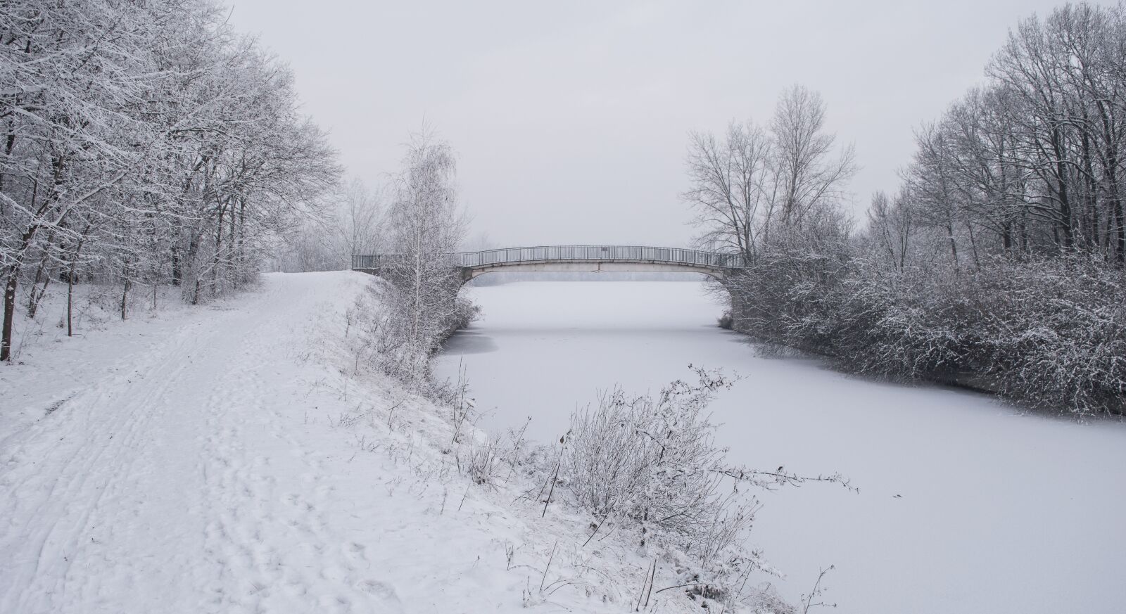 Nikon D3200 sample photo. Winter, blue, cold photography
