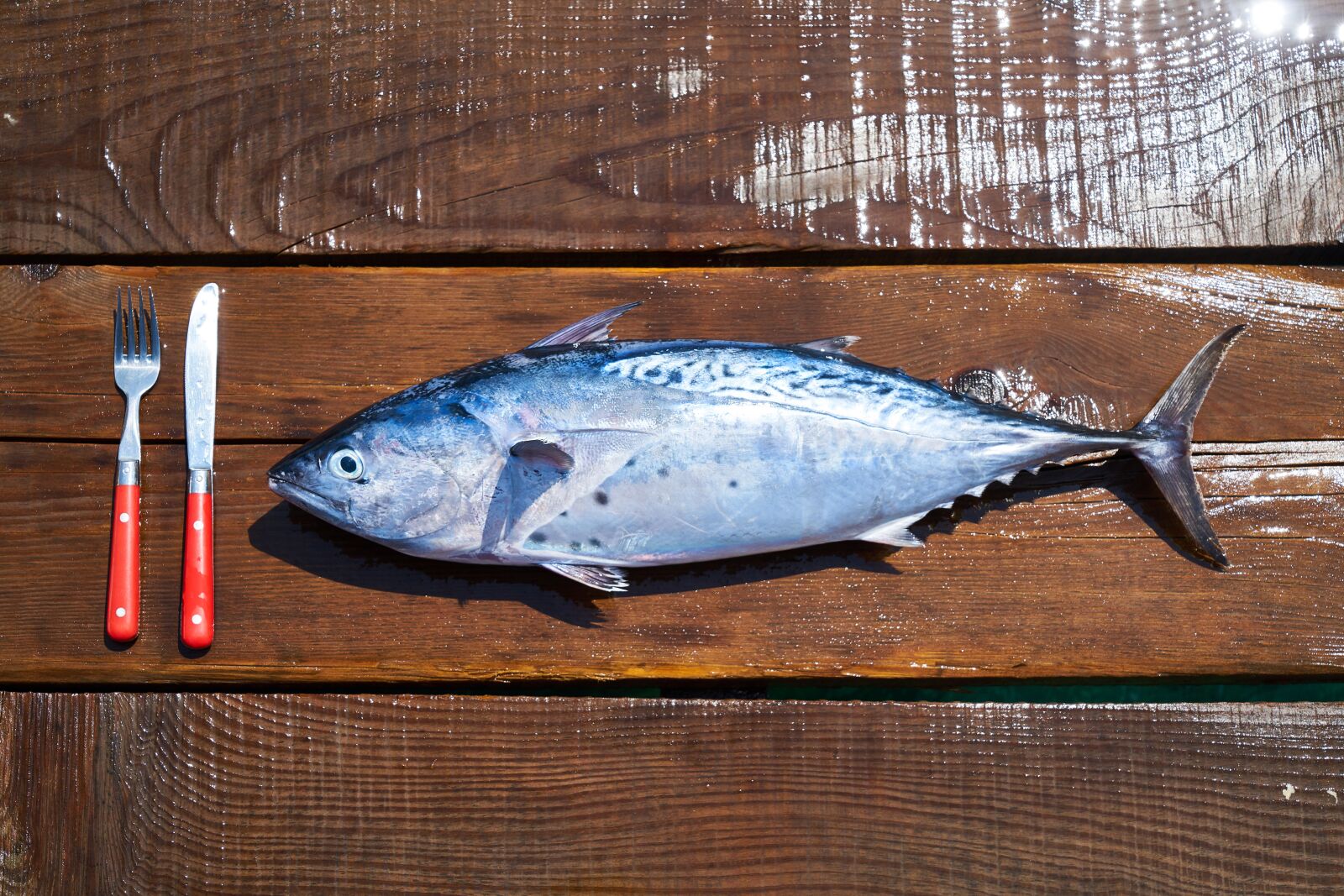 Sony a7R II sample photo. Fish, fresh, food photography