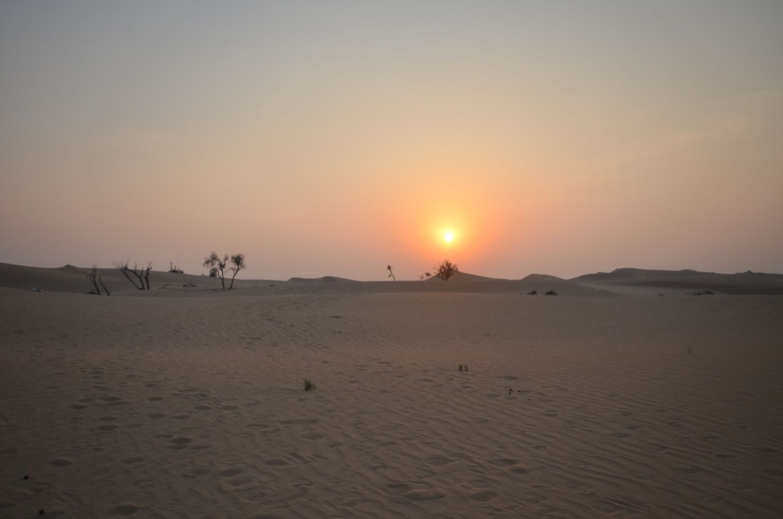 Nikon D7000 sample photo. Desert, sunset, sand photography