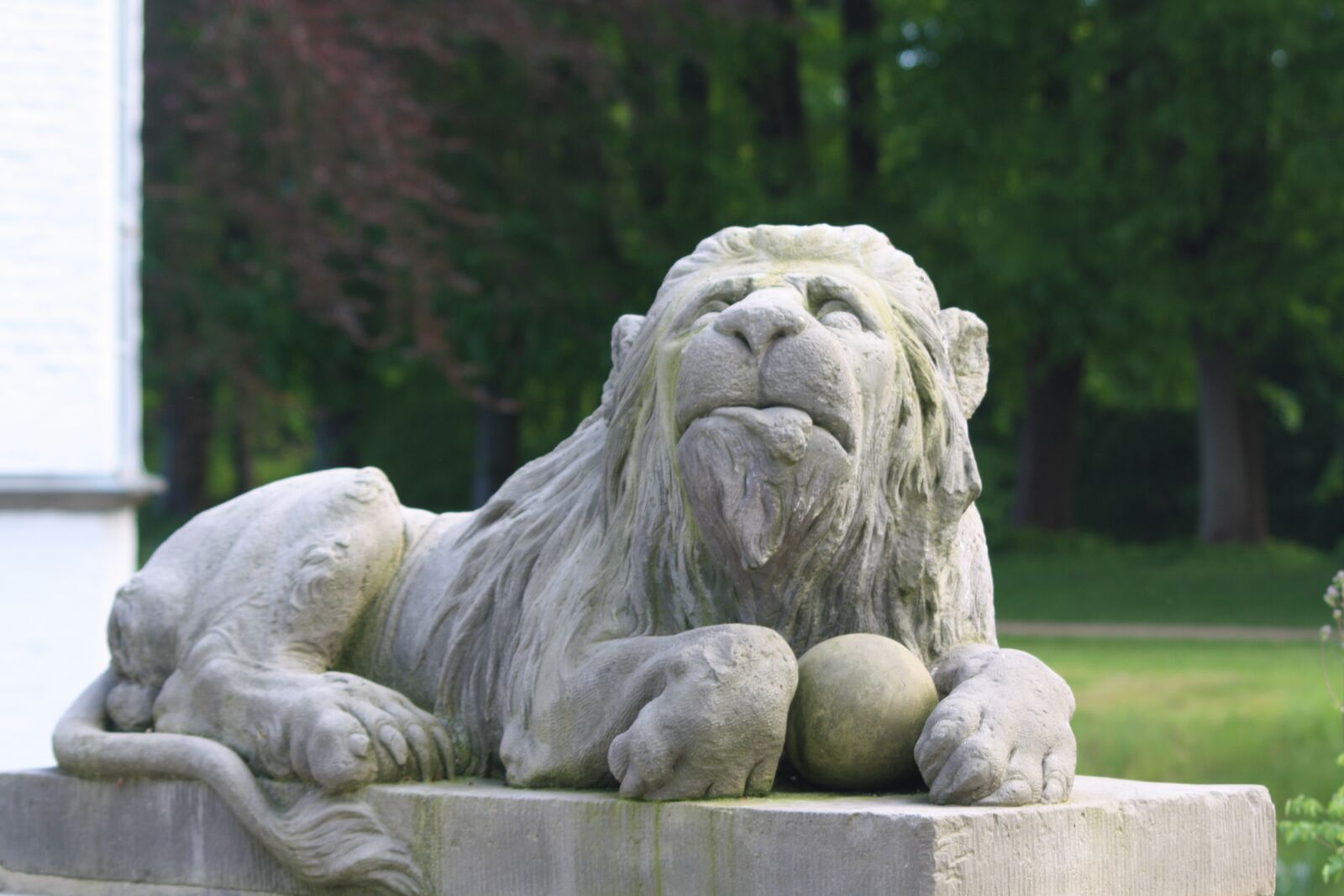 Canon EOS 1000D (EOS Digital Rebel XS / EOS Kiss F) sample photo. Sculpture, monument, lion photography