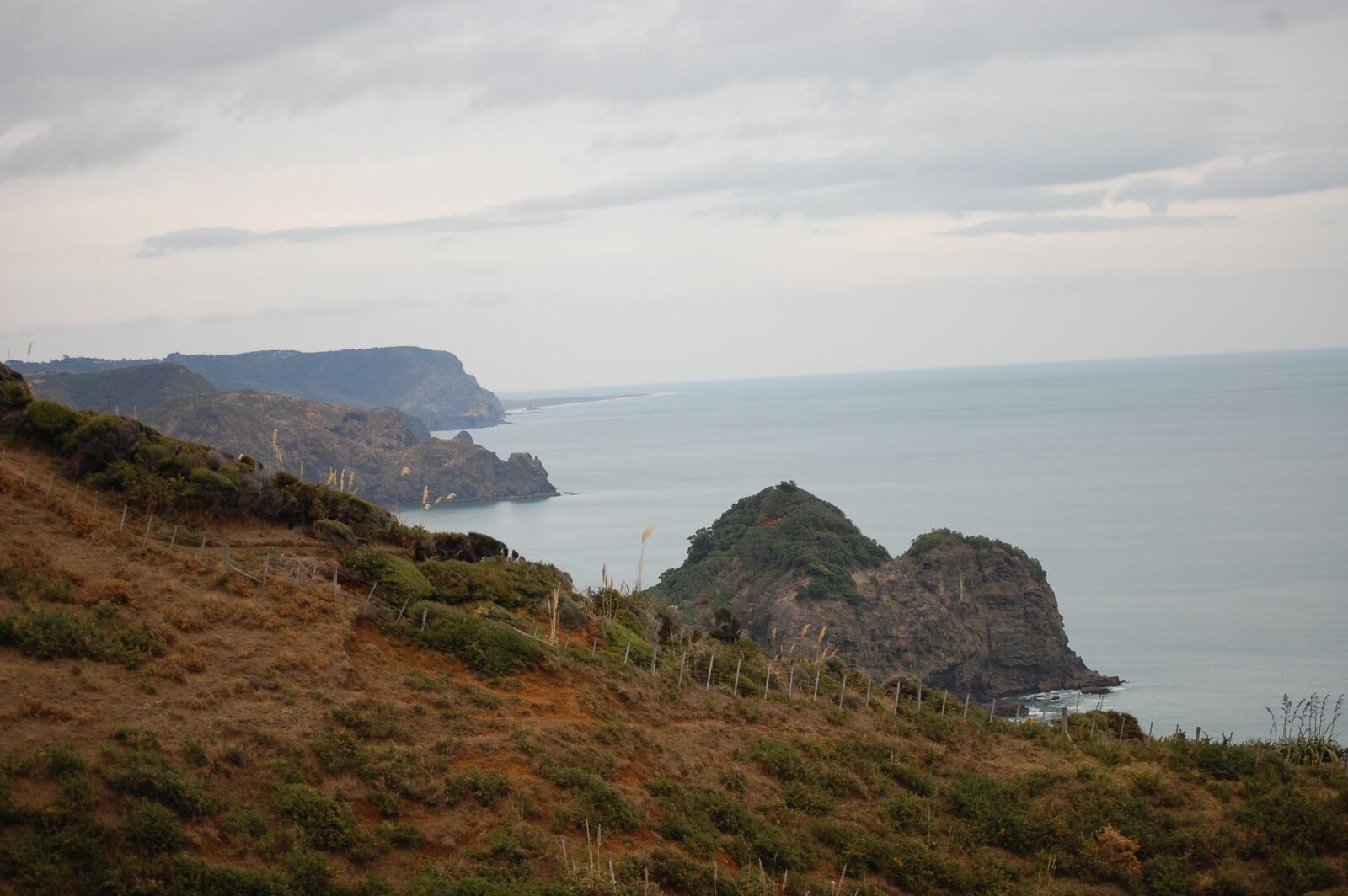 Nikon D40 sample photo. Bethells, beach, coastline photography