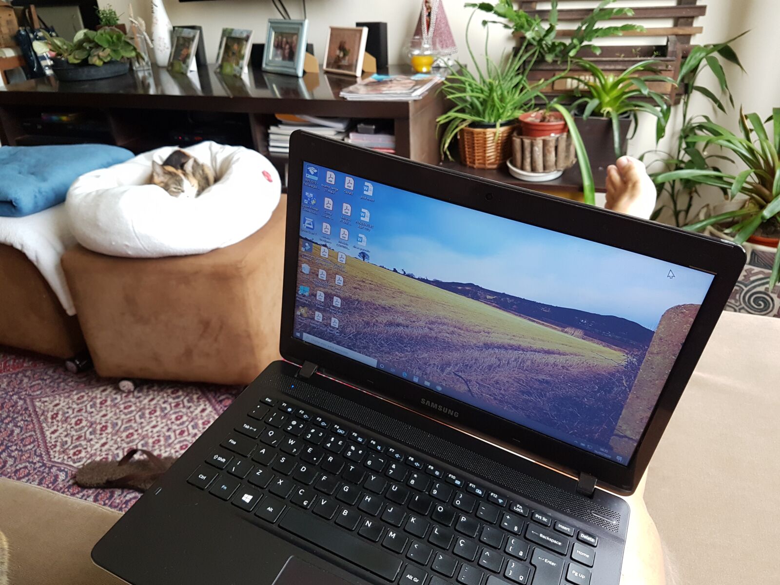 Samsung Galaxy S7 Edge sample photo. Computer, notebook, homeoffice photography