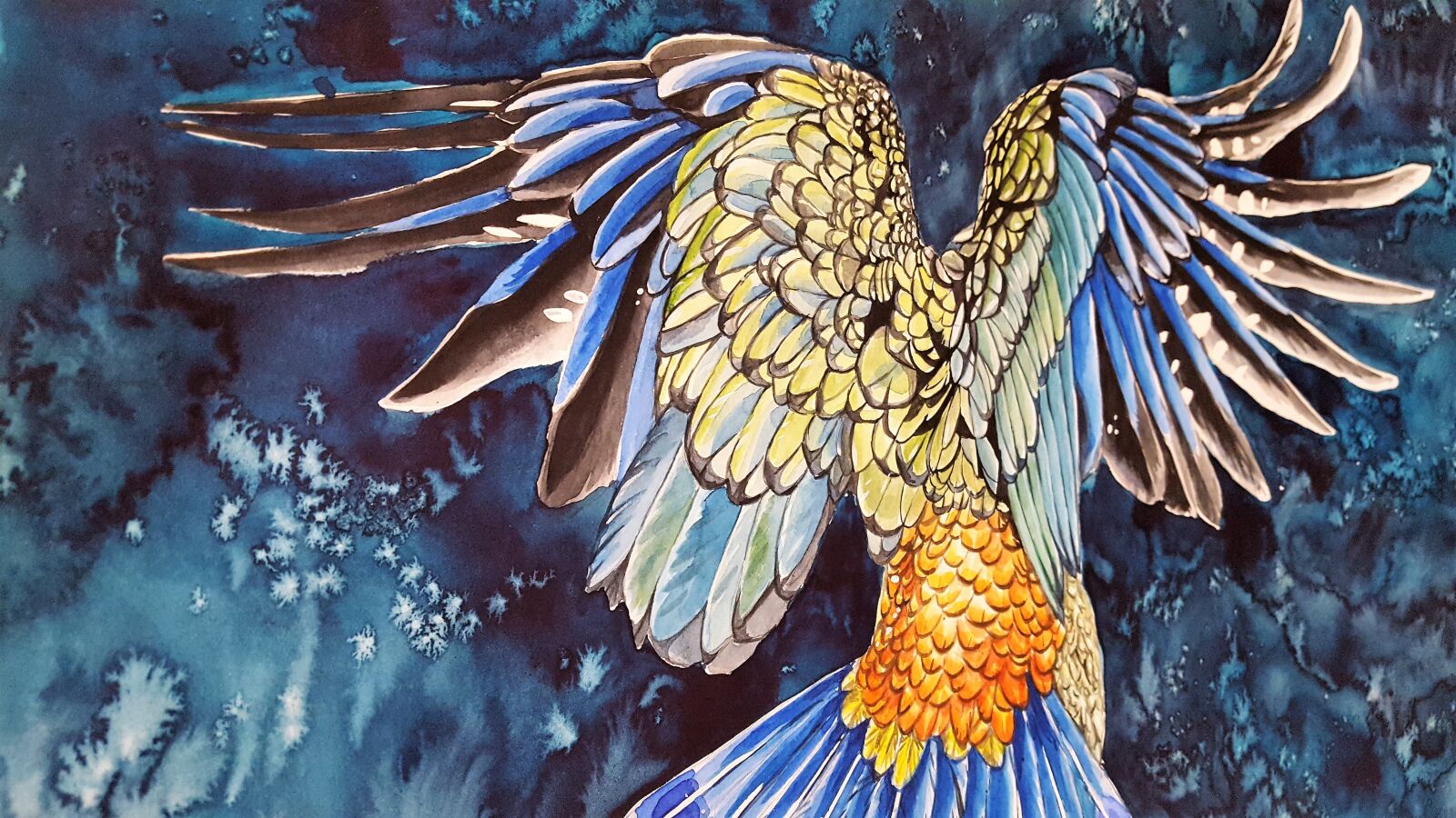Samsung Galaxy S6 sample photo. Feathers, parrot, bird photography