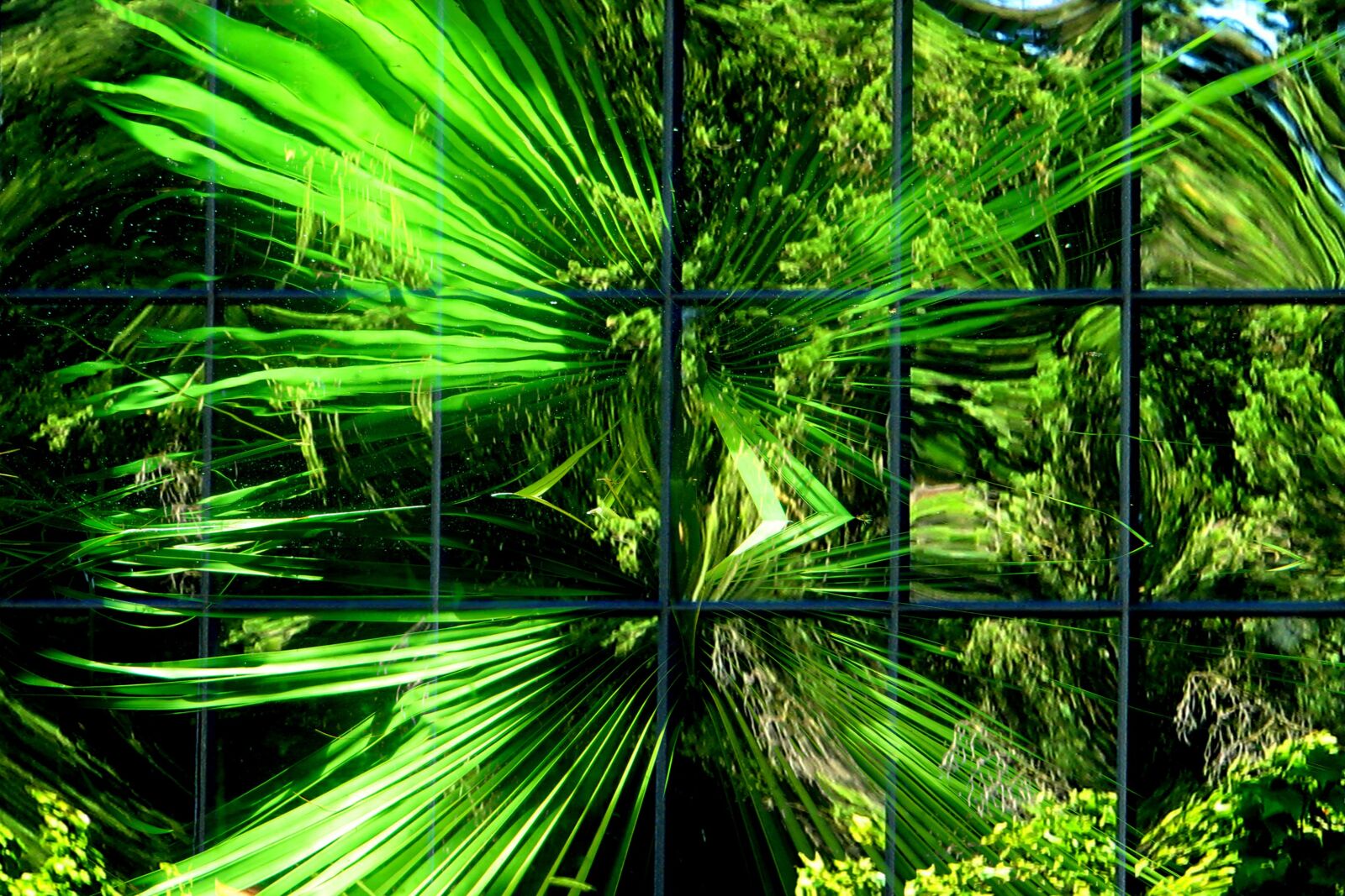 Canon PowerShot SX260 HS sample photo. Green, abstract, reflection photography