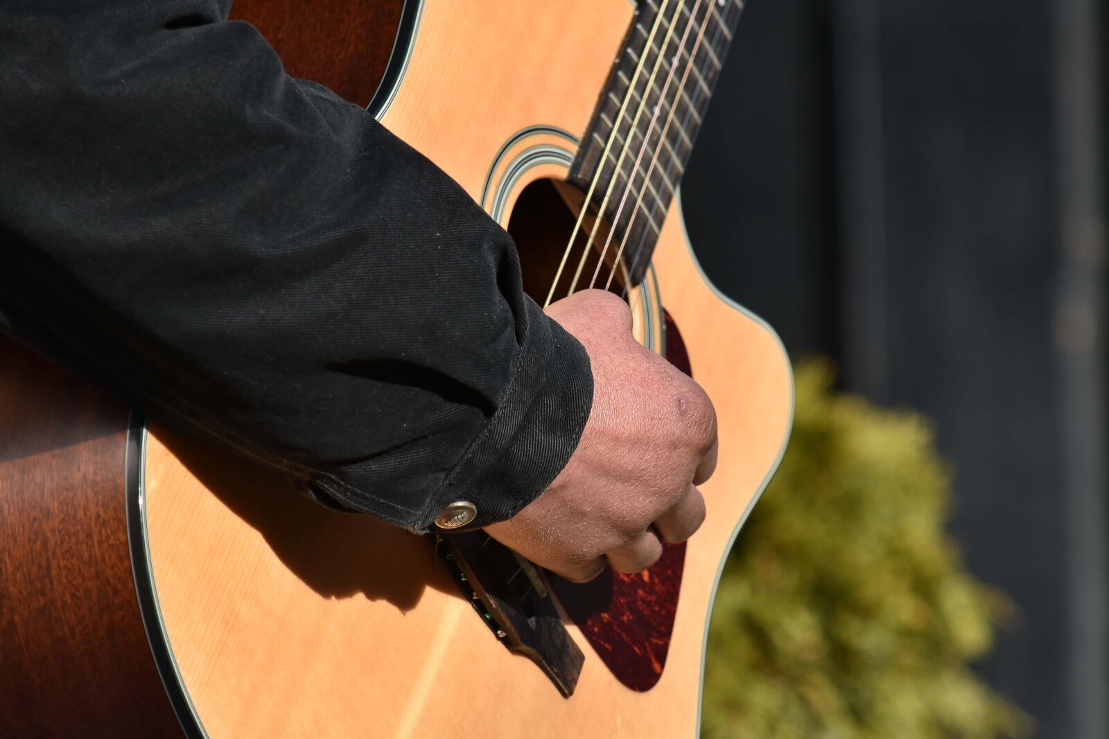 Nikon D5500 sample photo. Acoustic, entertainer, musician, musical photography