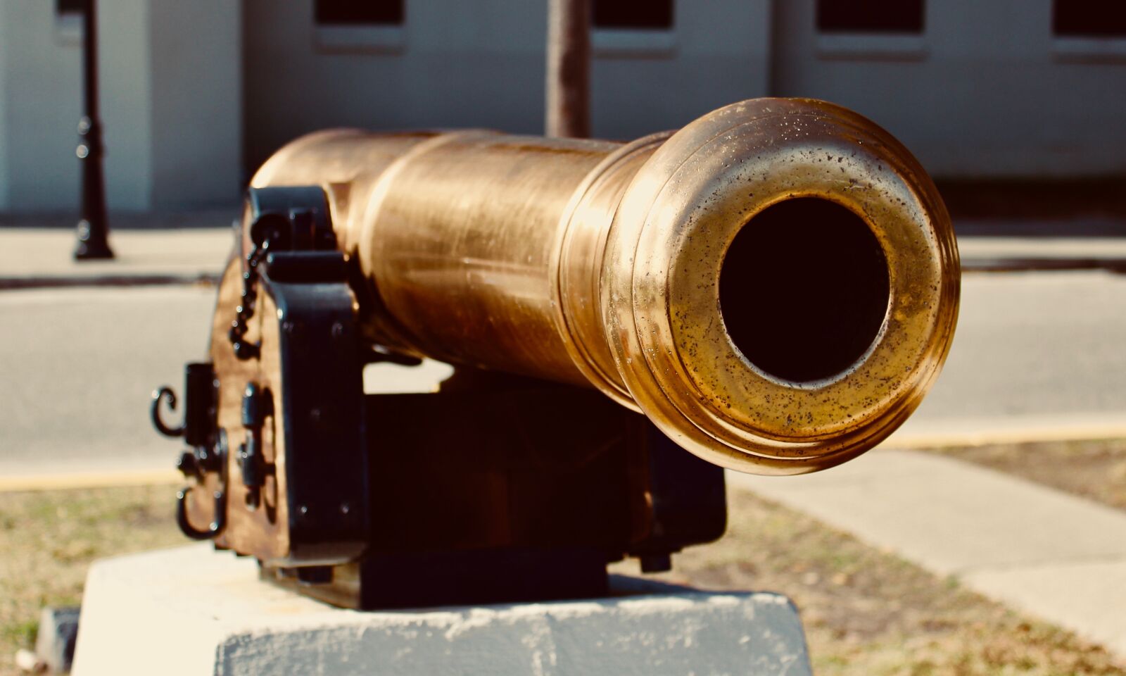 Canon EOS 550D (EOS Rebel T2i / EOS Kiss X4) sample photo. Cannon, gold, military photography
