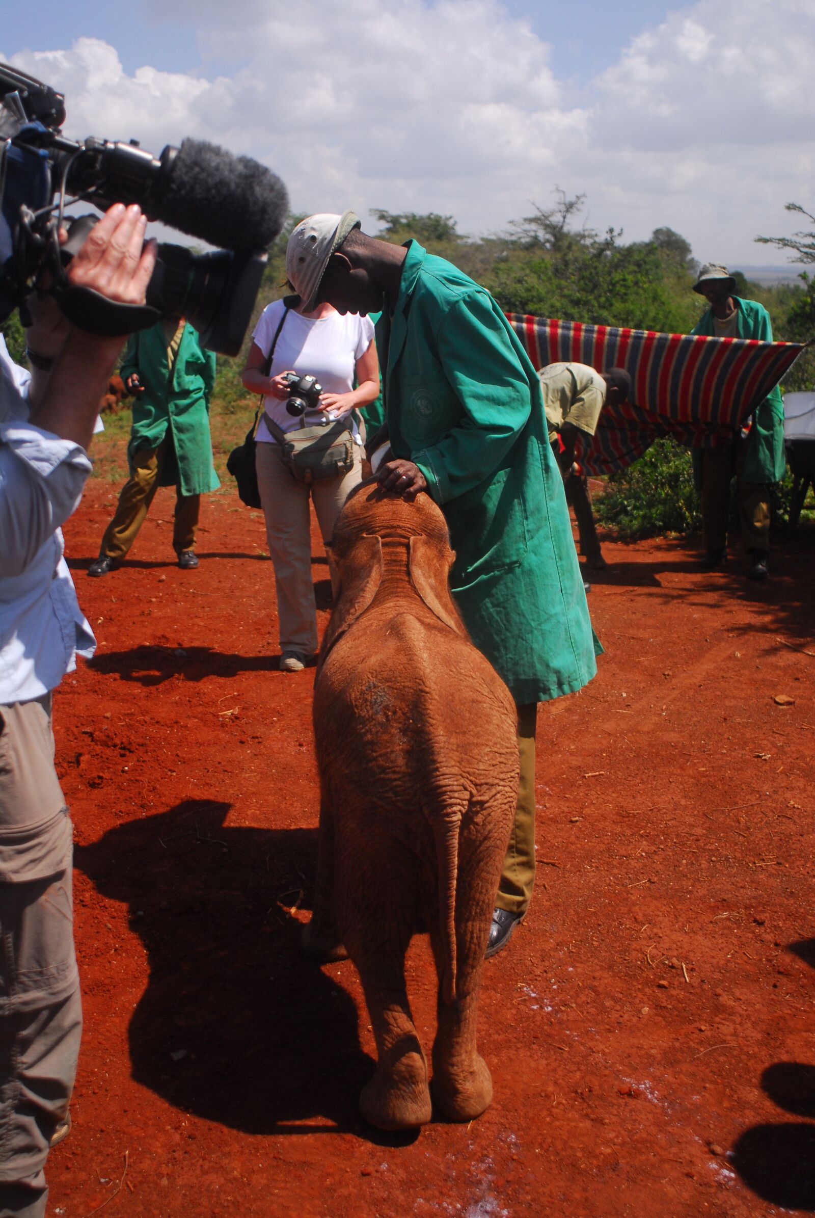 Nikon D200 sample photo. Feeding baby elephants, bottle photography