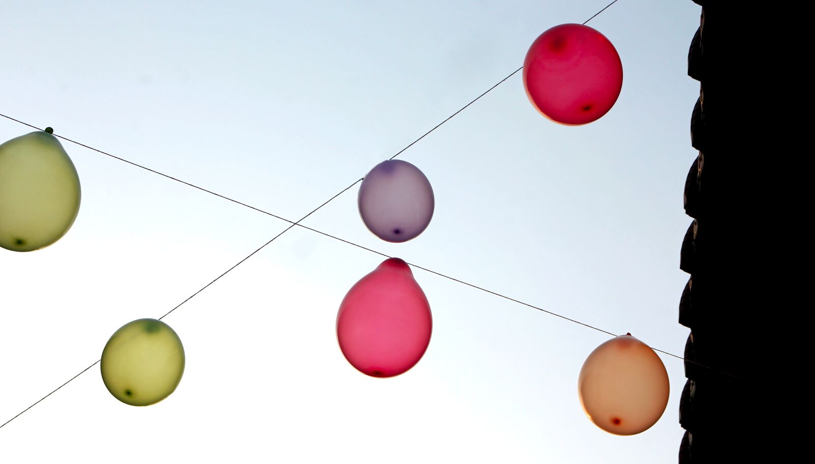 Canon EOS 60D sample photo. Balloon, sky, flying photography