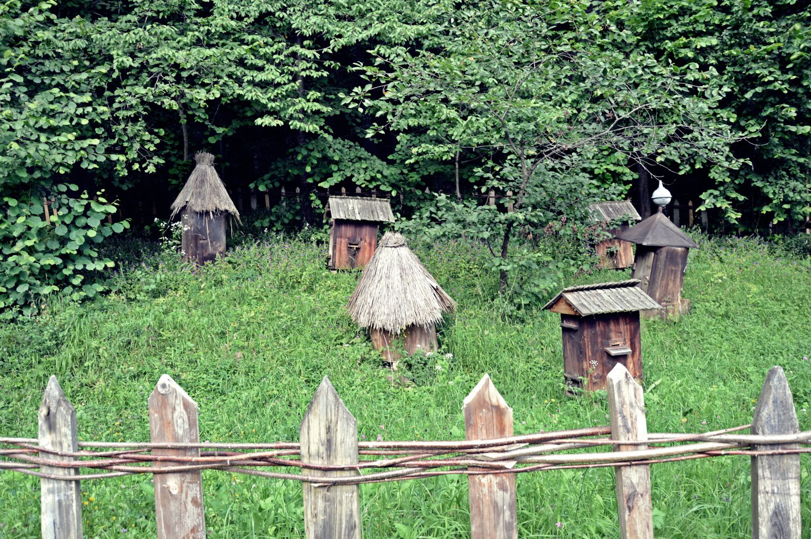 Nikon D3200 sample photo. Ule, bees, nature photography