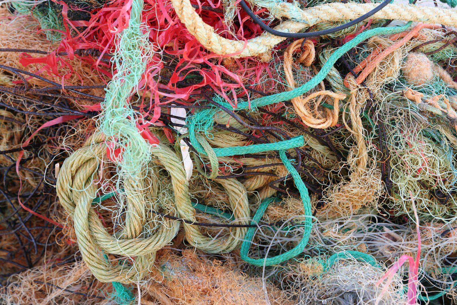 Canon EOS 350D (EOS Digital Rebel XT / EOS Kiss Digital N) sample photo. Flotsam, environment, web photography