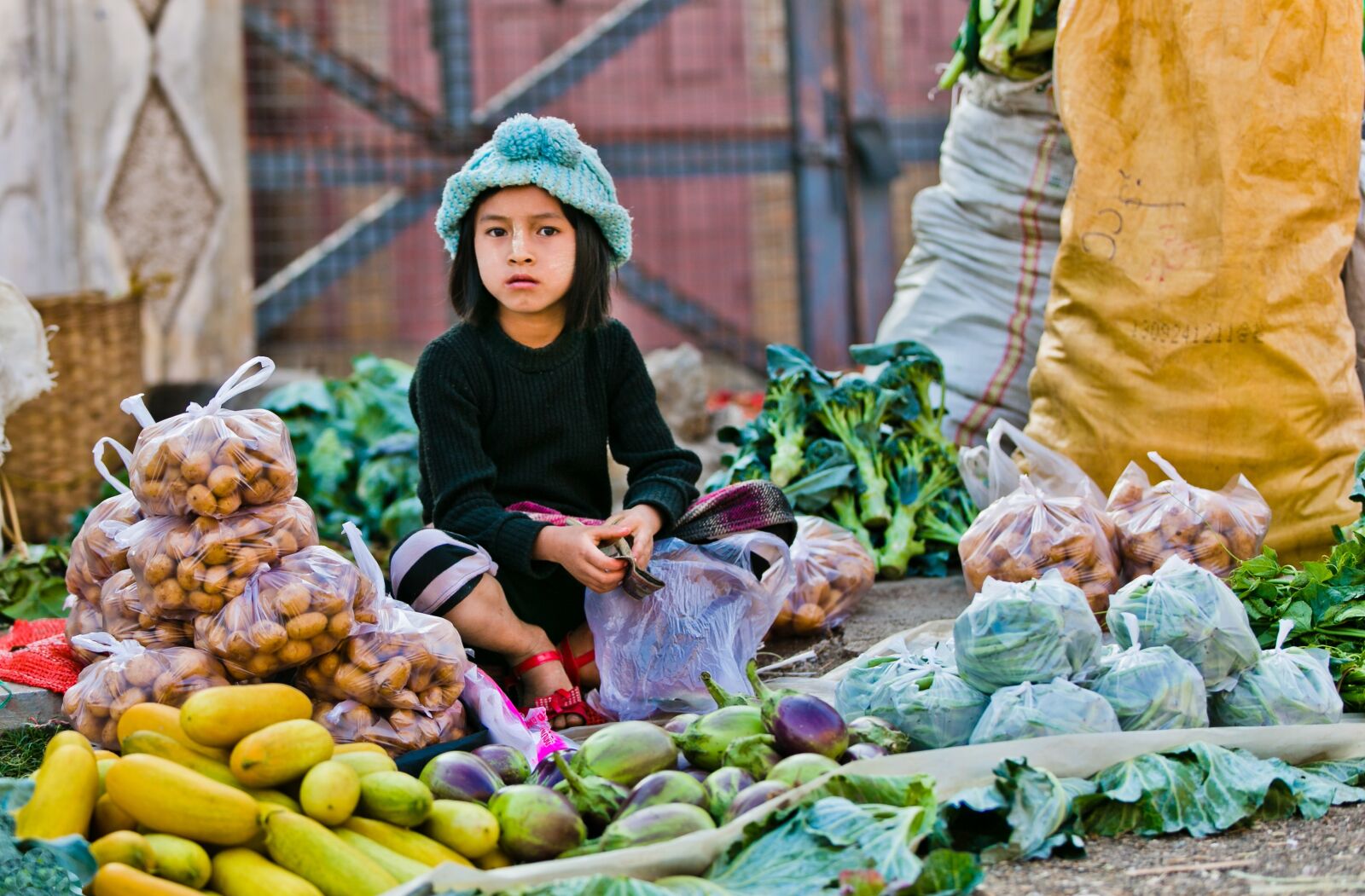 Canon EOS 5D Mark III sample photo. Morning market, child selling photography